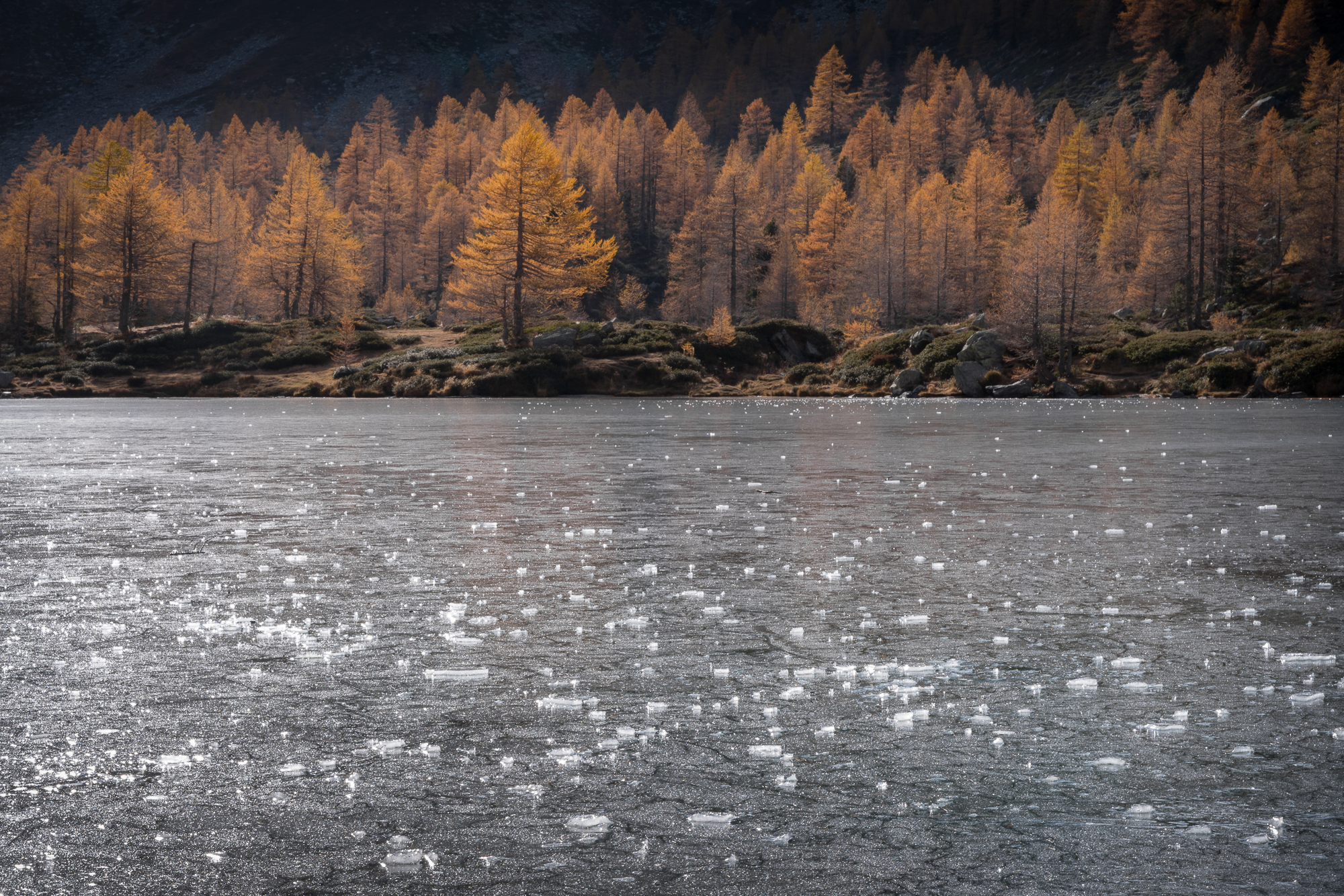 Autunno al Lac d'Arpy