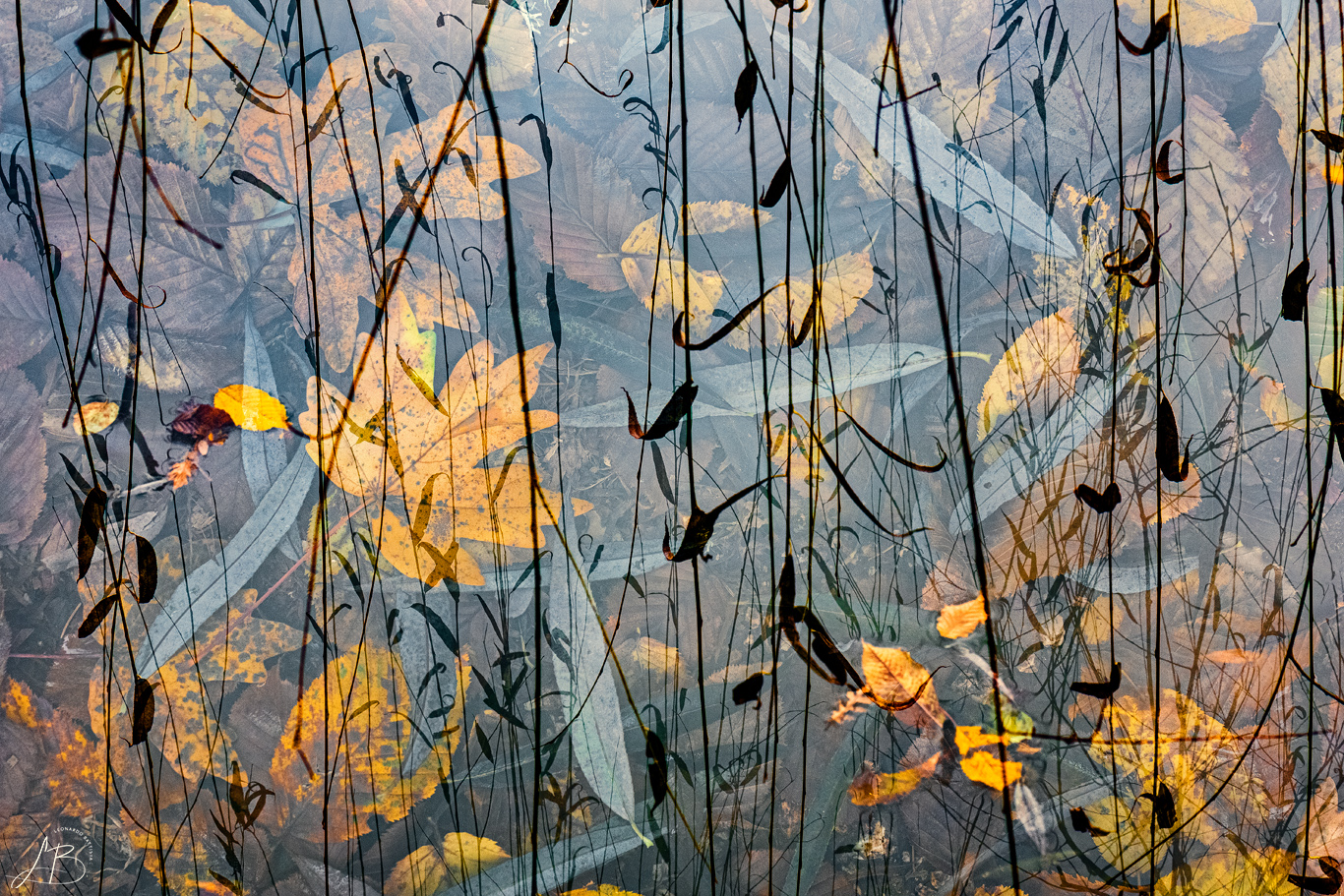 Autumn suggestions