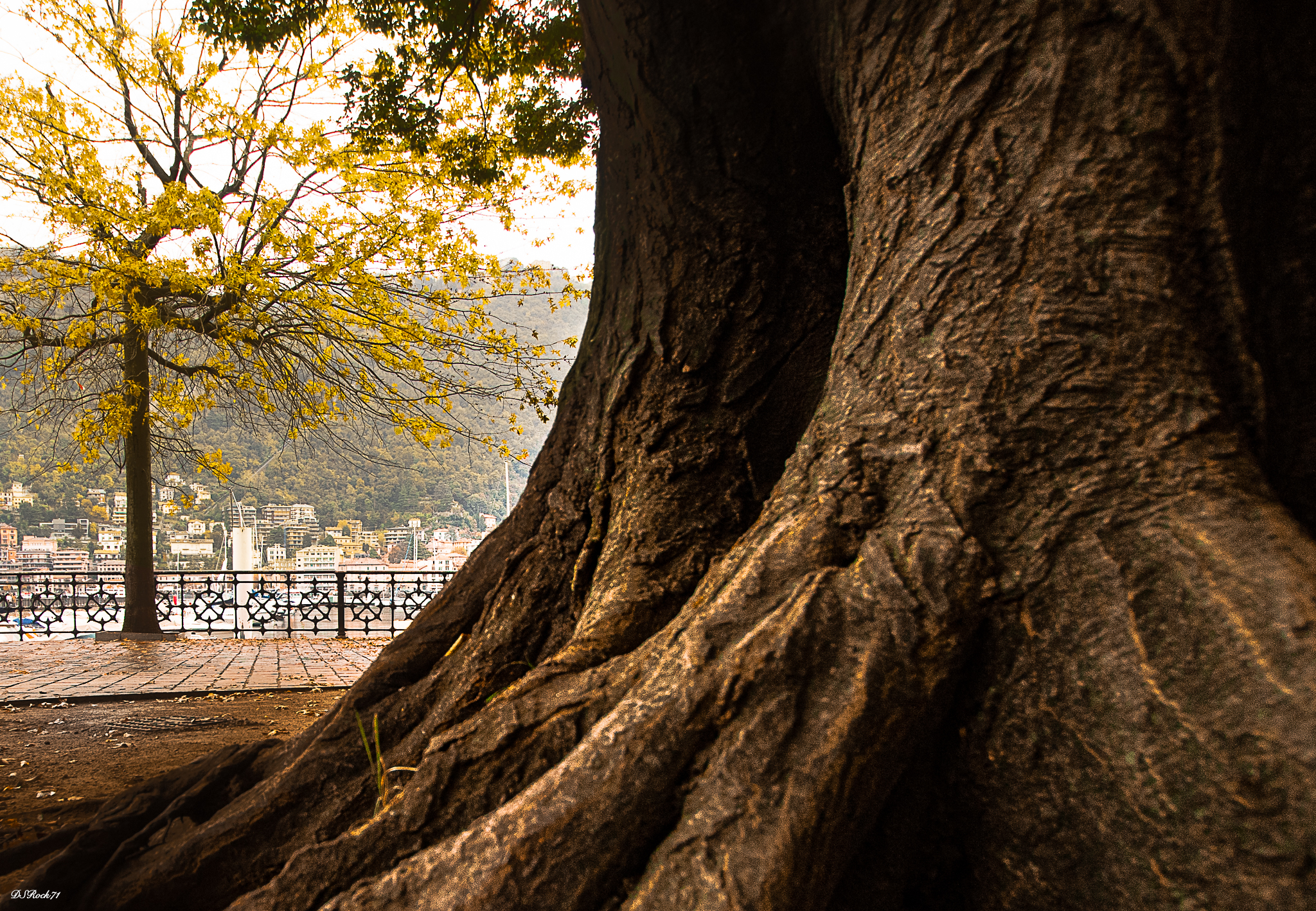 como - gardens on the lake
