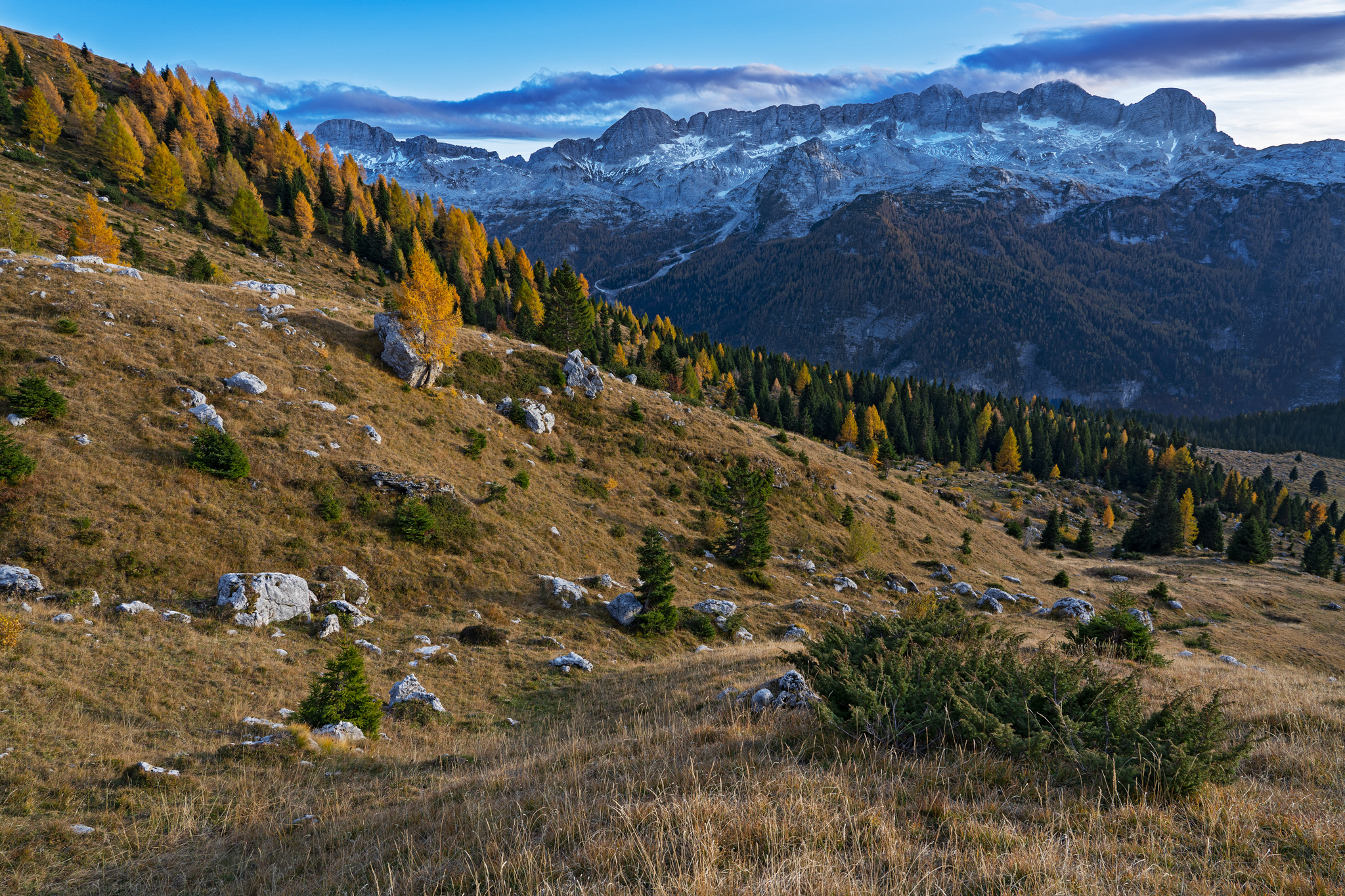 Altopiano del Montasio