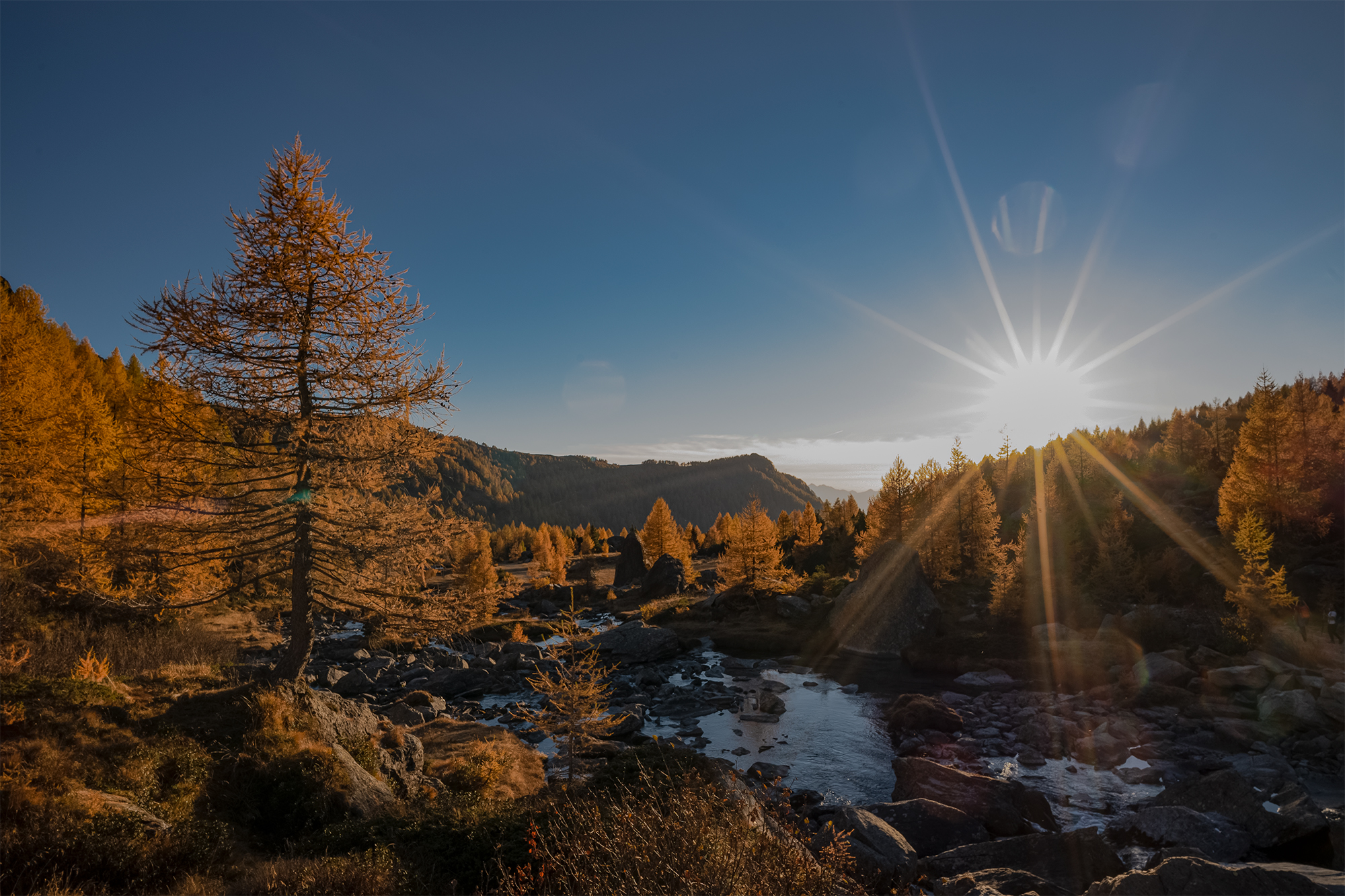 Predarossa: sulla strada del ritorno