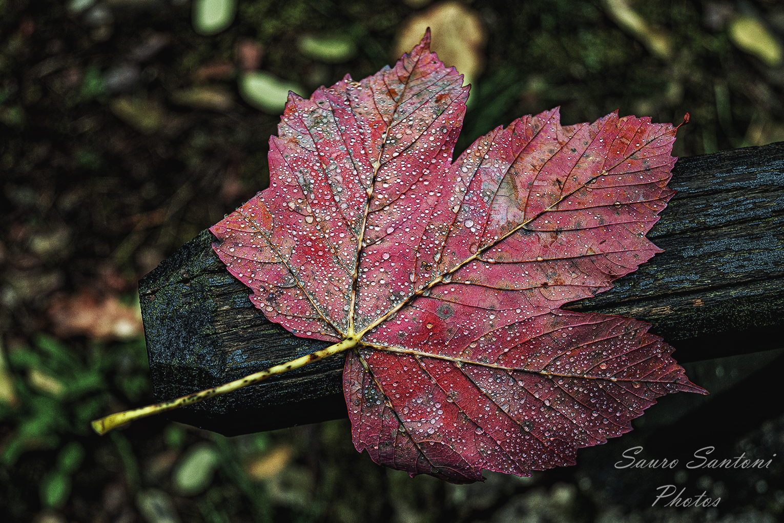 End..... autumn...