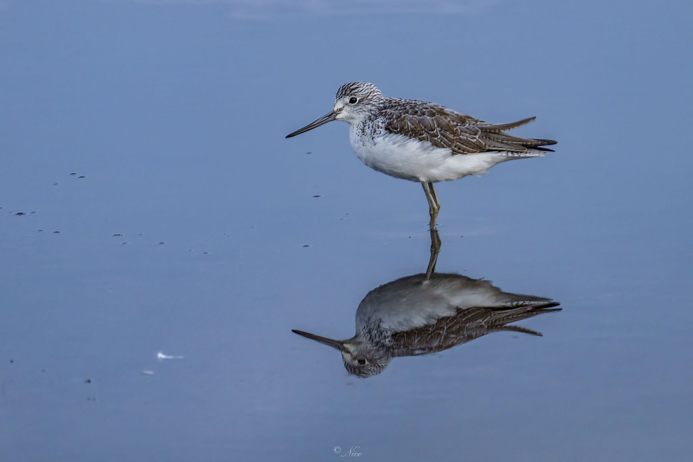 Sperimentando quasi al buio