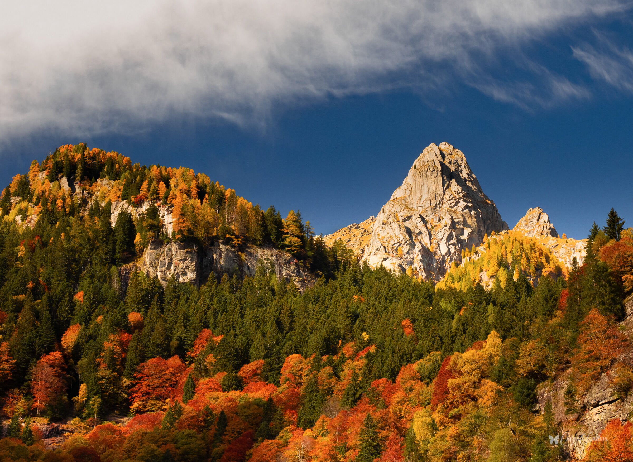dipinto d'autunno