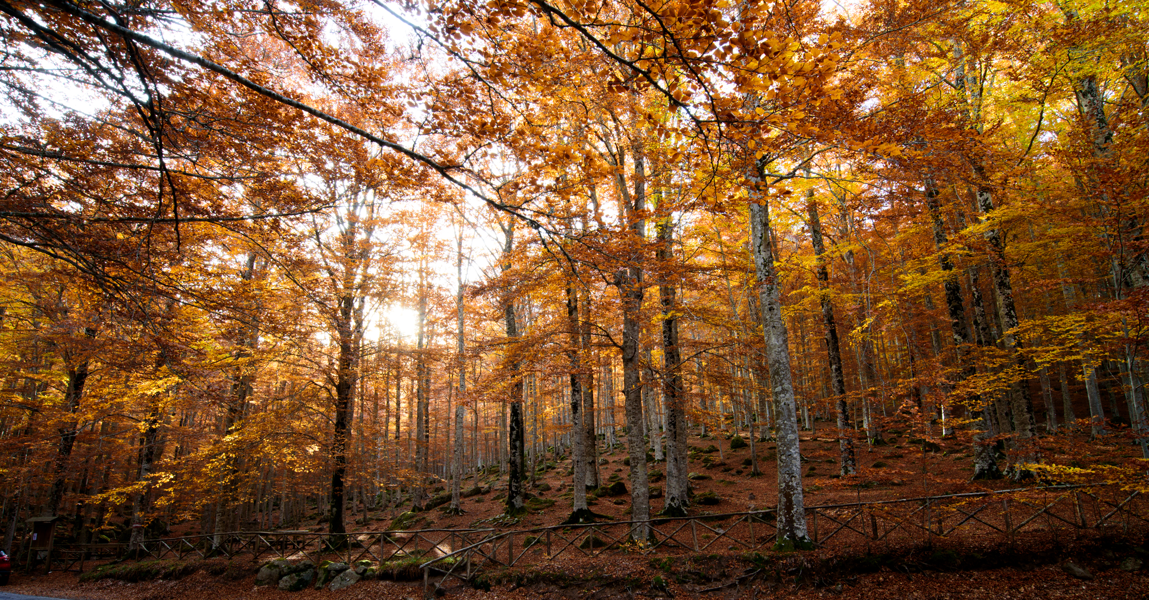 L'Autunno, la stagione dei colori !!