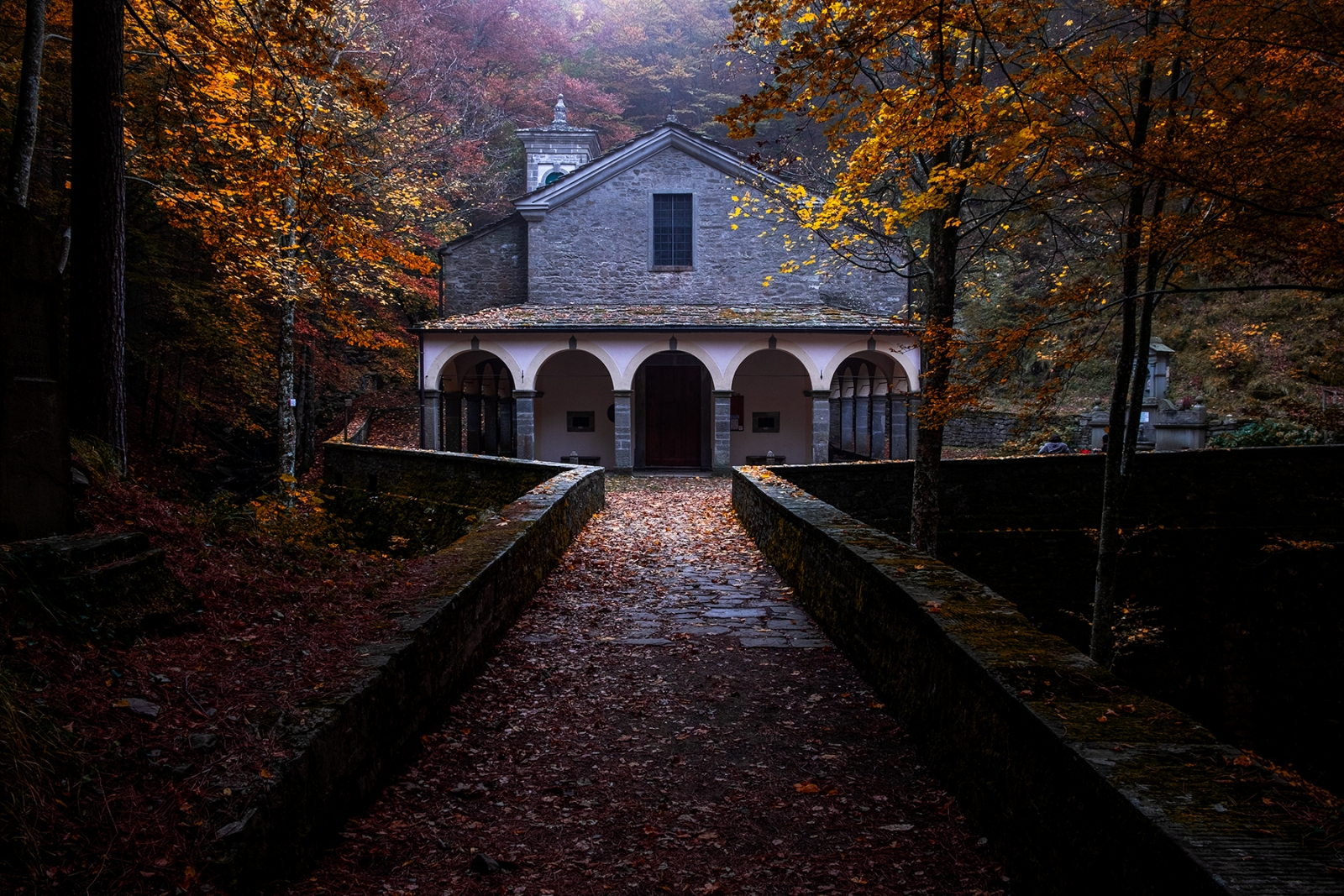 Foliage at the Sanctuary of the Madonna del Faggio ( BO )