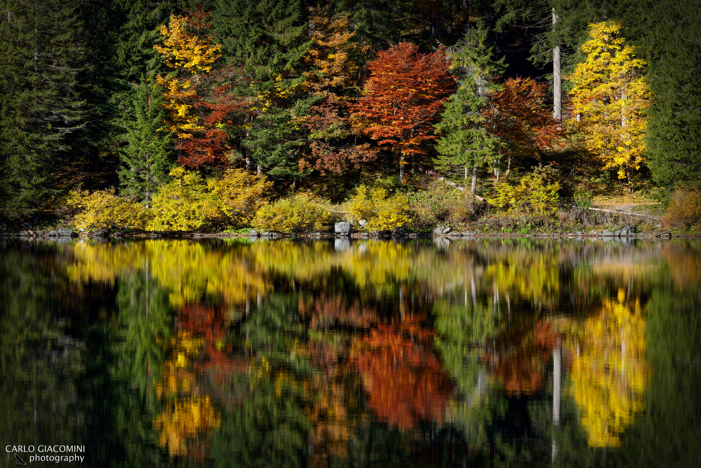 Harmonious assortment