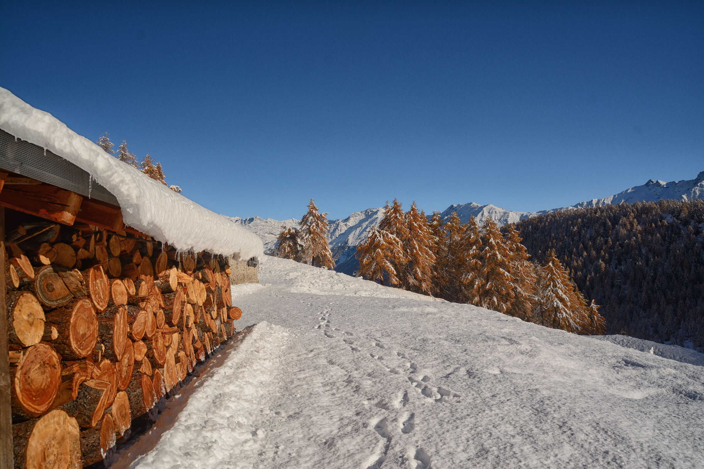 First snow of the season.