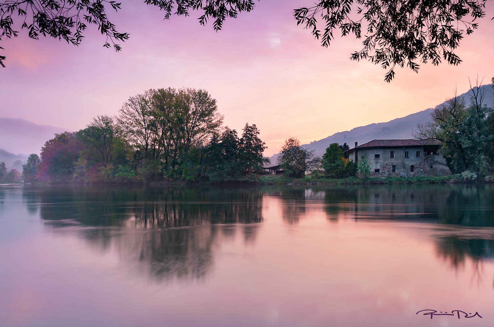 Pink dawn