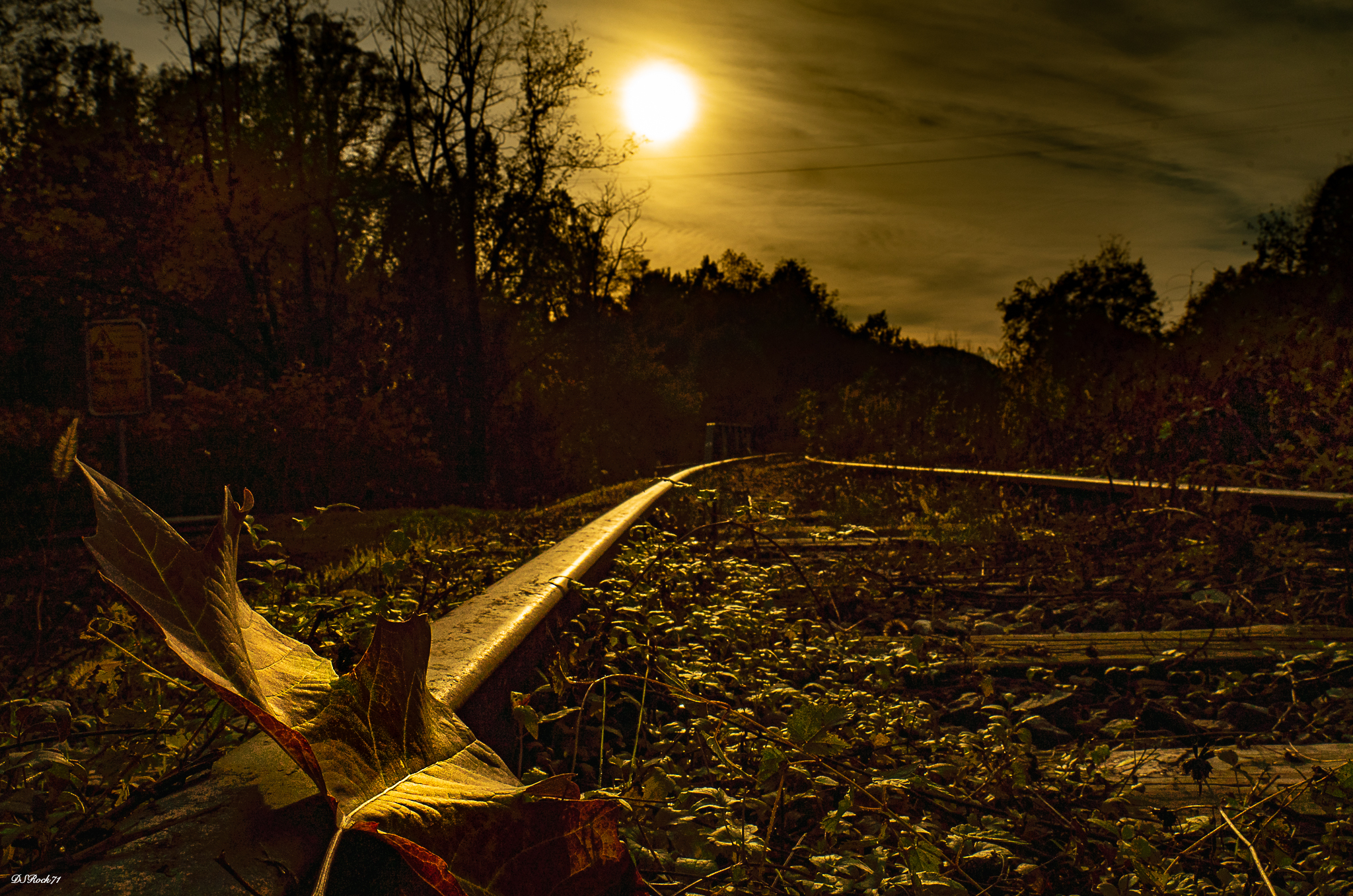 a twilight a bit surreal