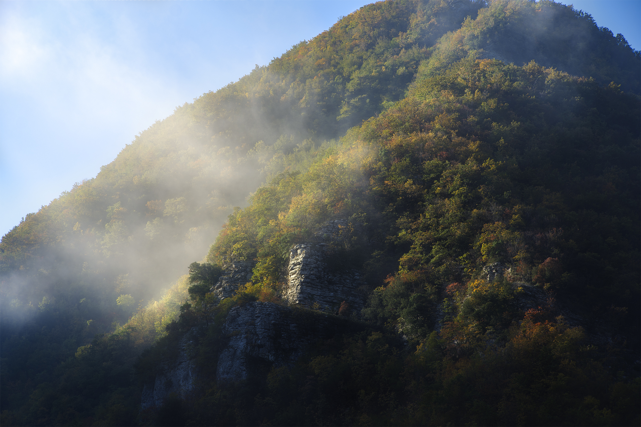 Foliage monte Nerone