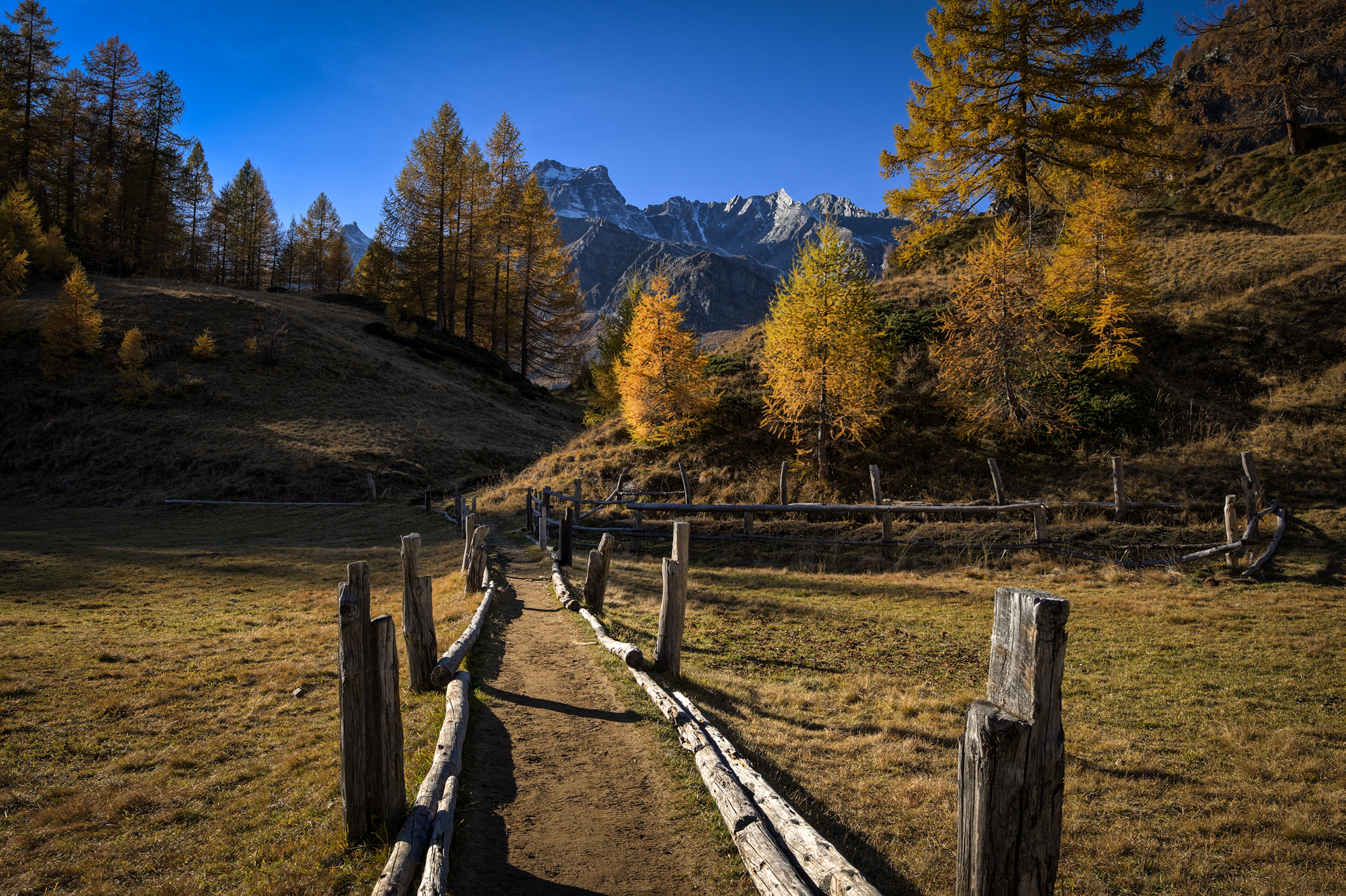 Vieni a vedere il paradiso.