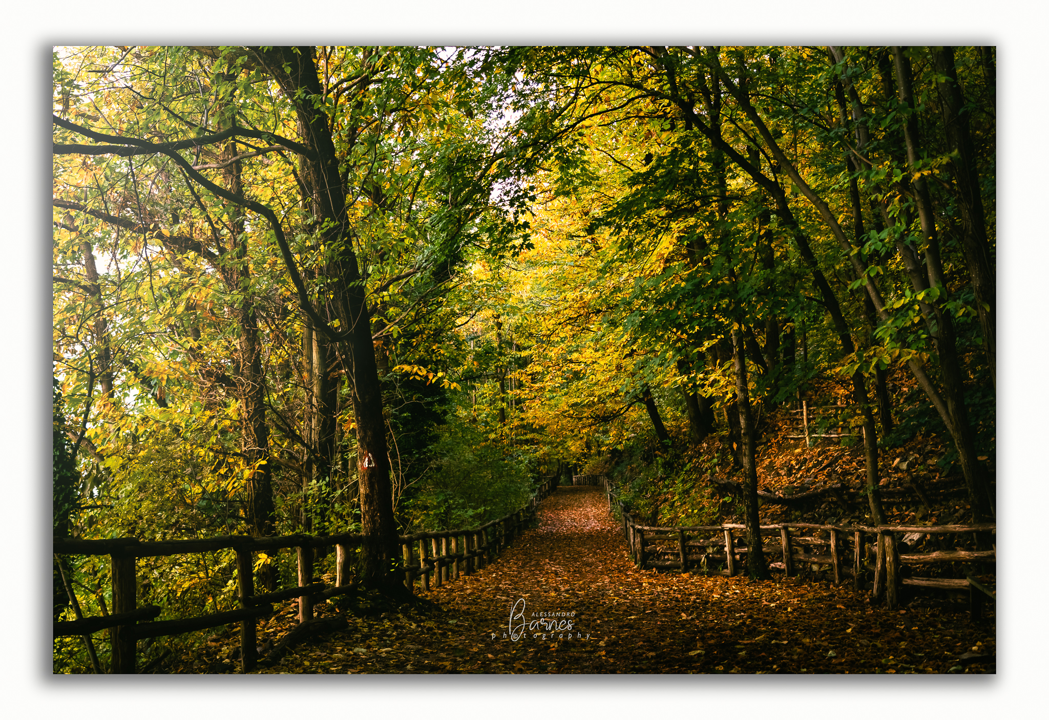 Sentiero Lorenzoni monte Venda -colli Euganei-