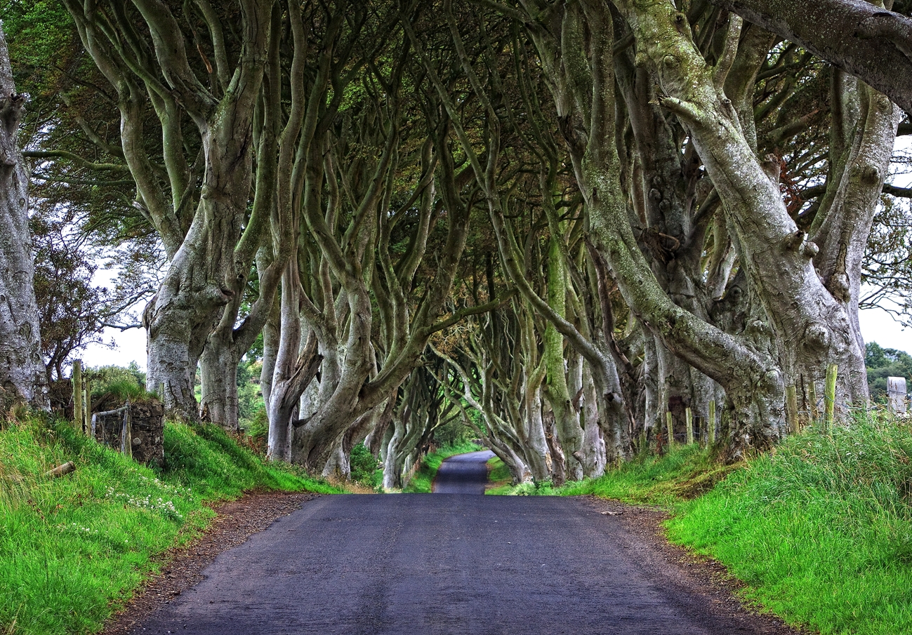 Viale Irlanda del Nord