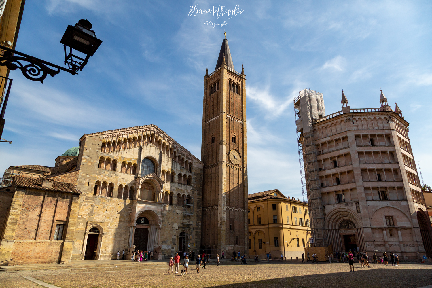 Parma in bright shades