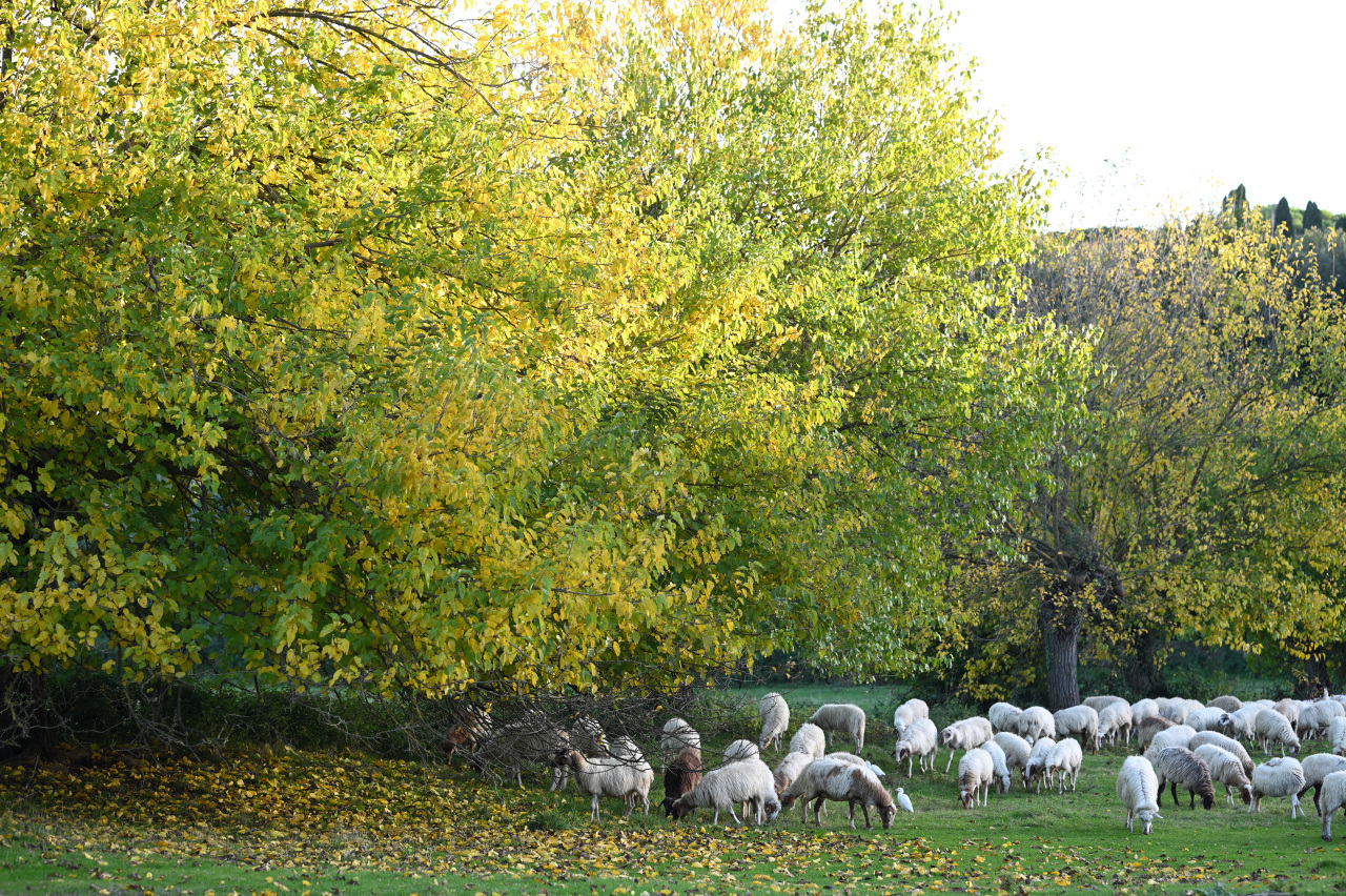 Giallo di sera...l'autunno si avvicina