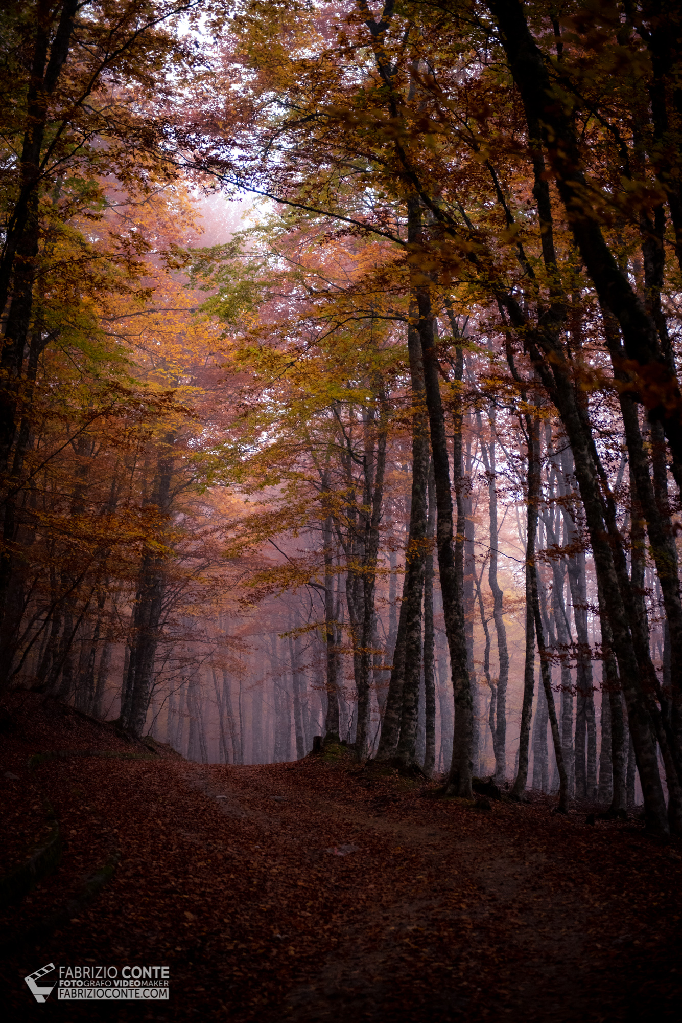 colori tenui d'autunno
