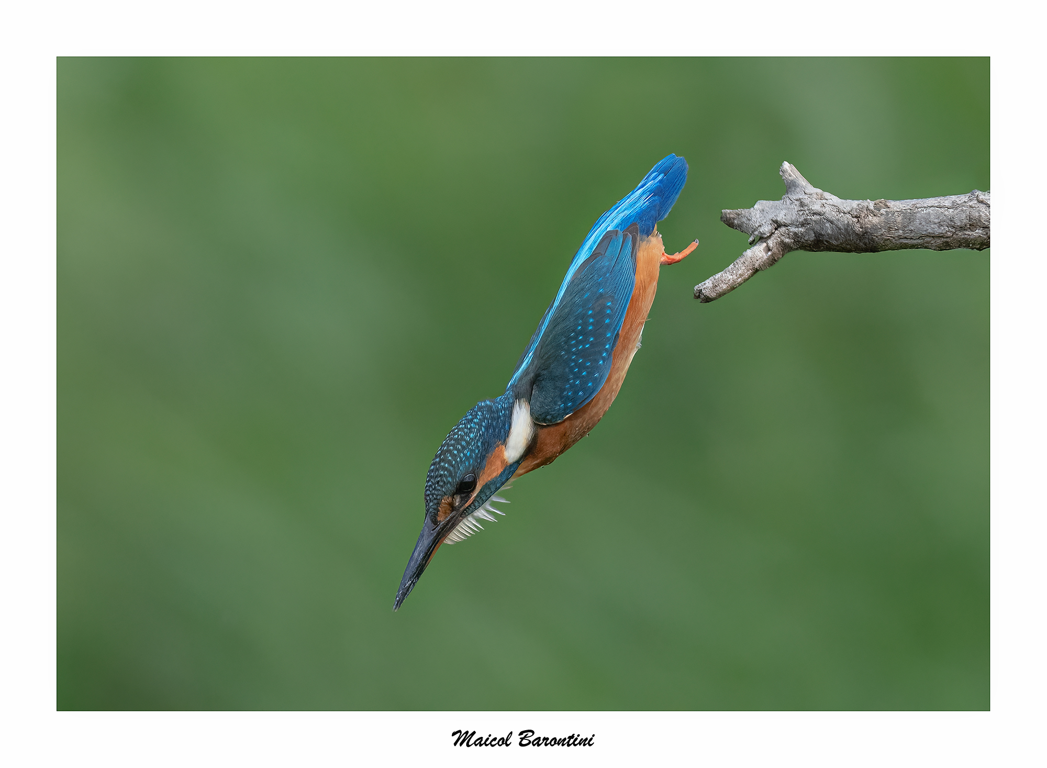 Martin e il suo trampolino...
