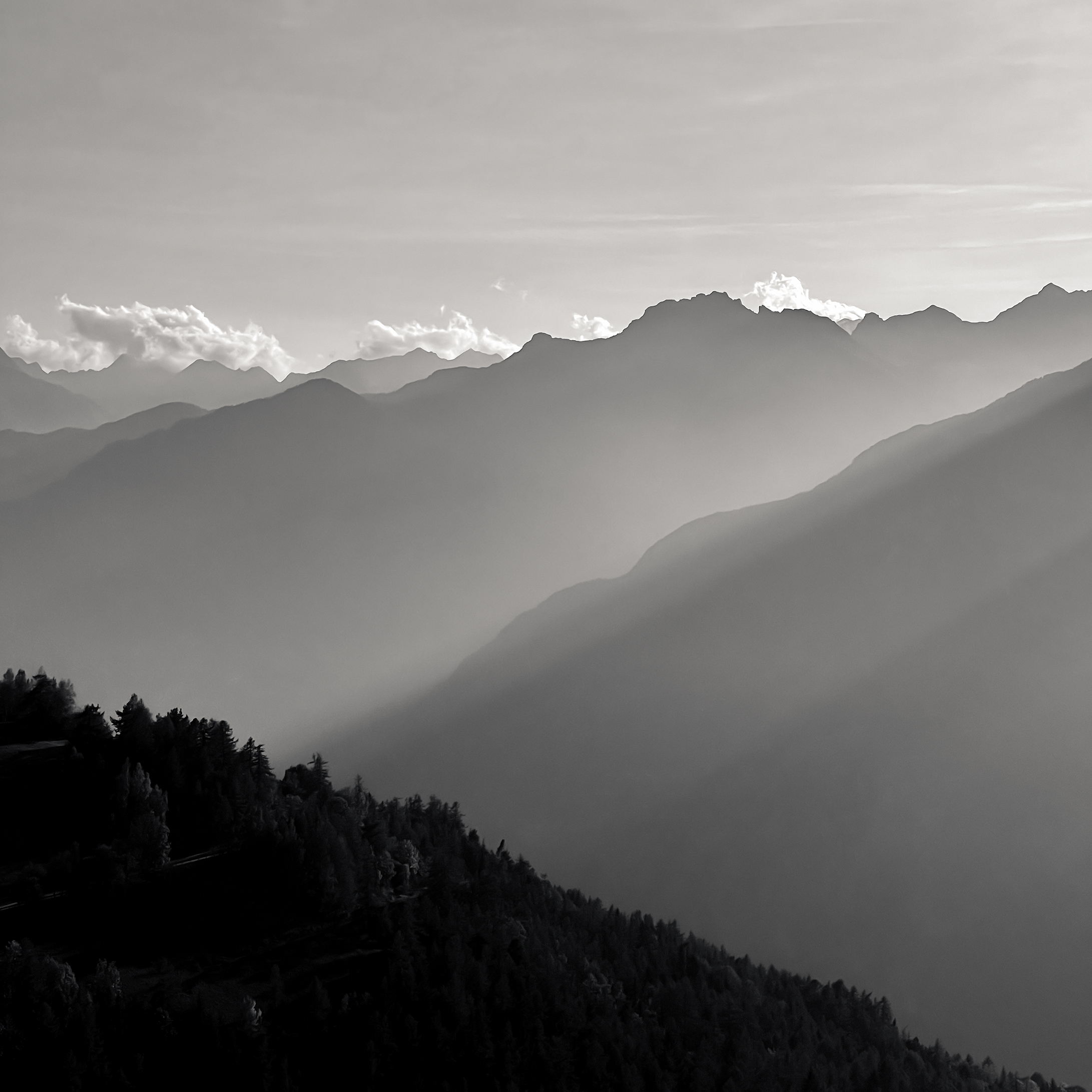 Autumn Sunrays
