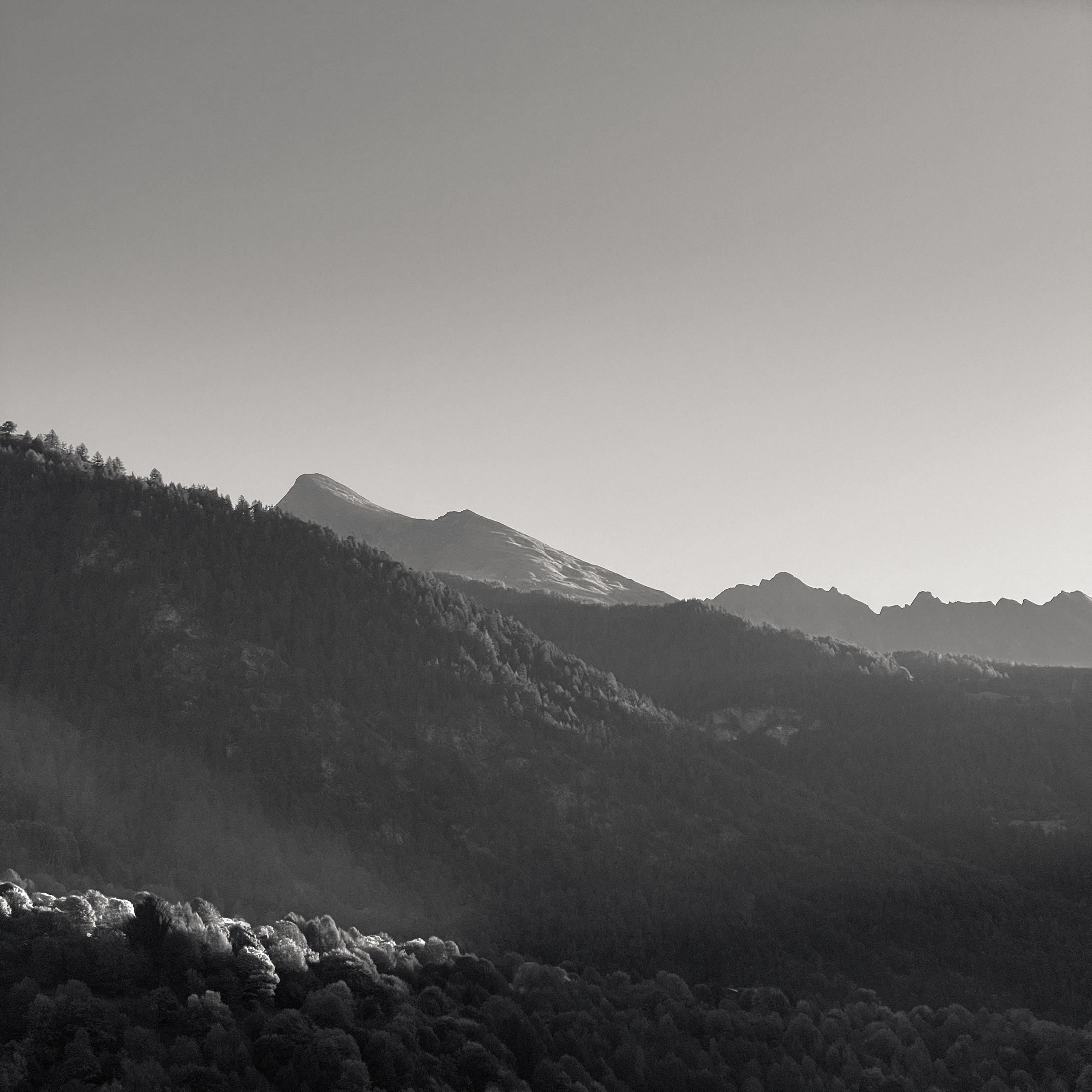 First Light