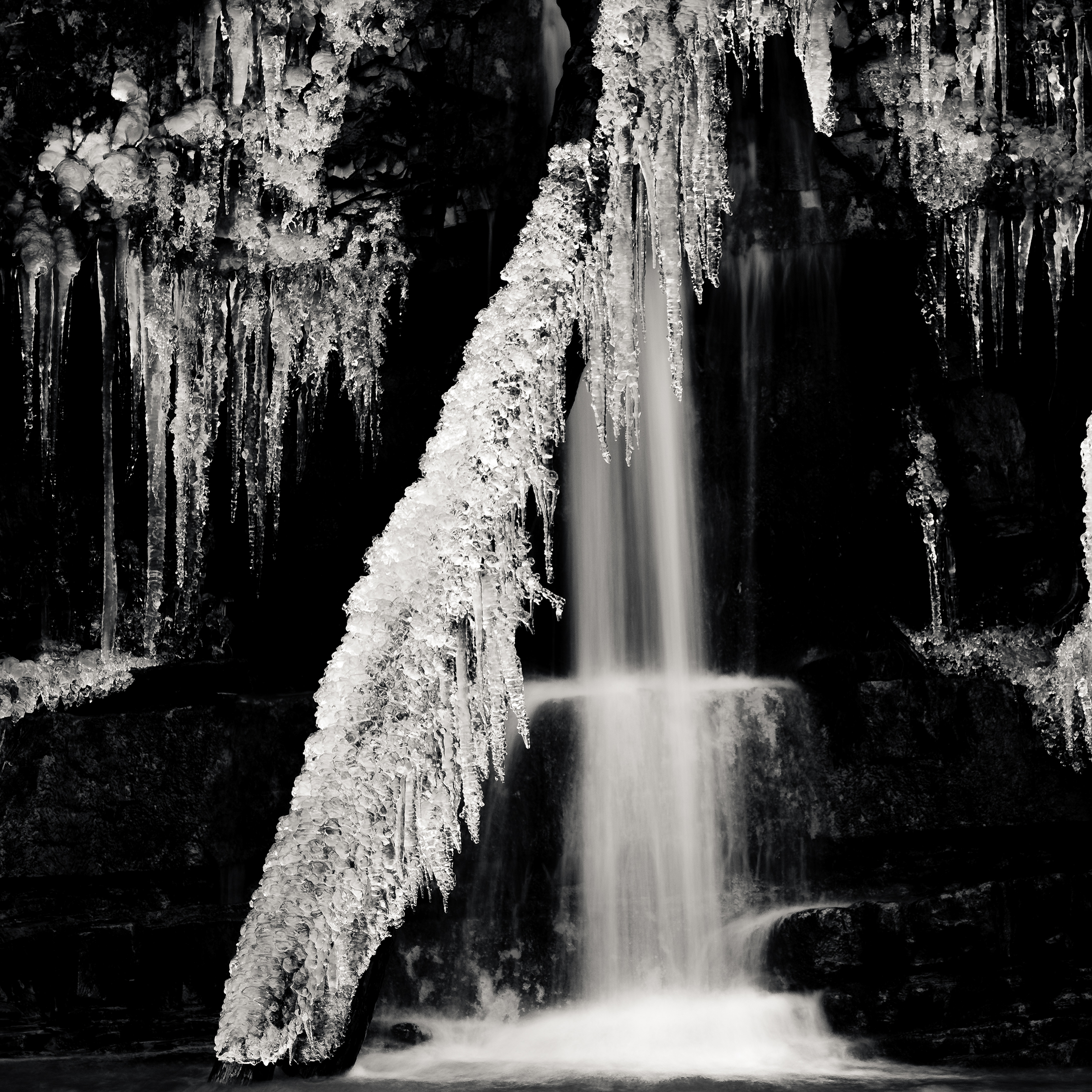 Ice Kingdom
