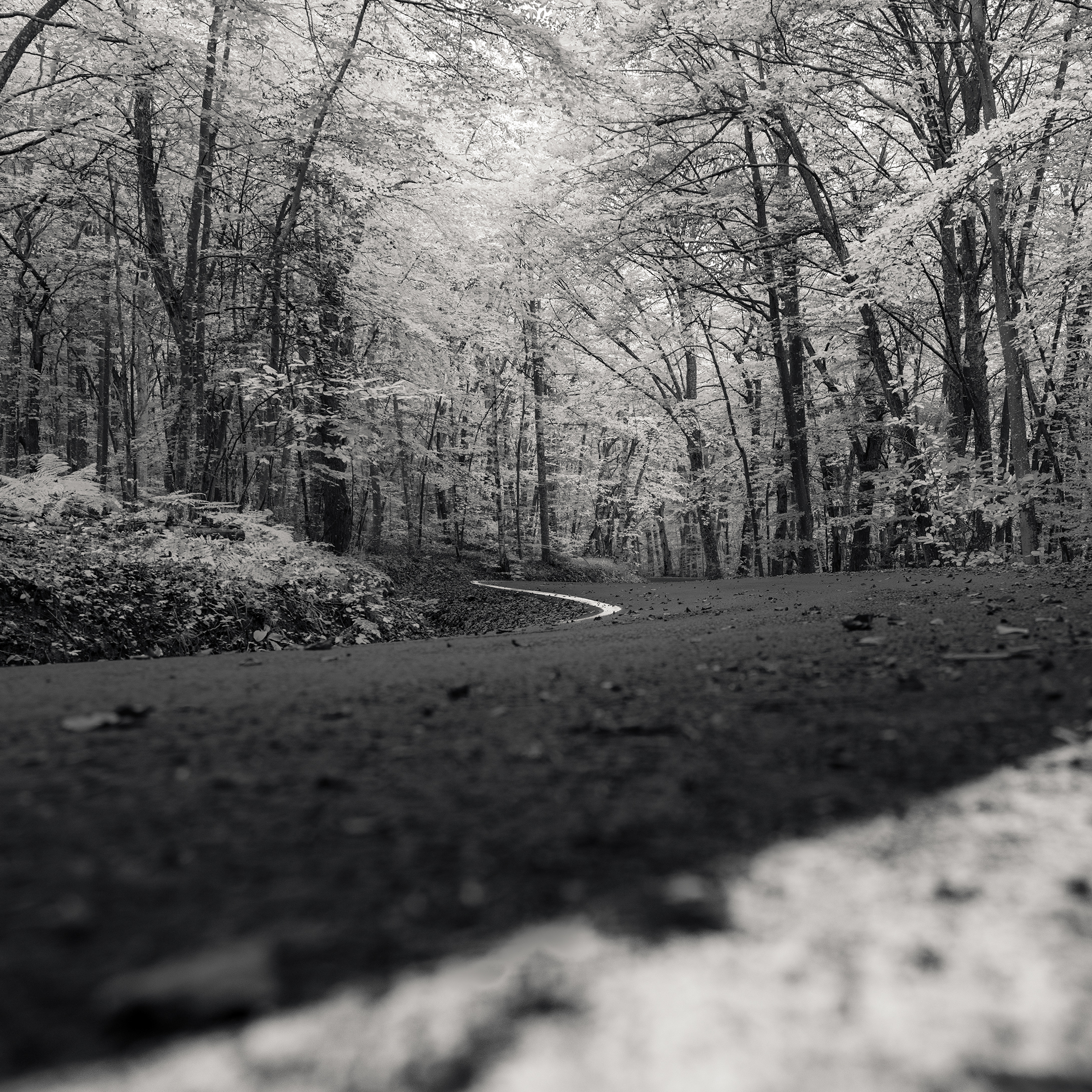 Infrared Road