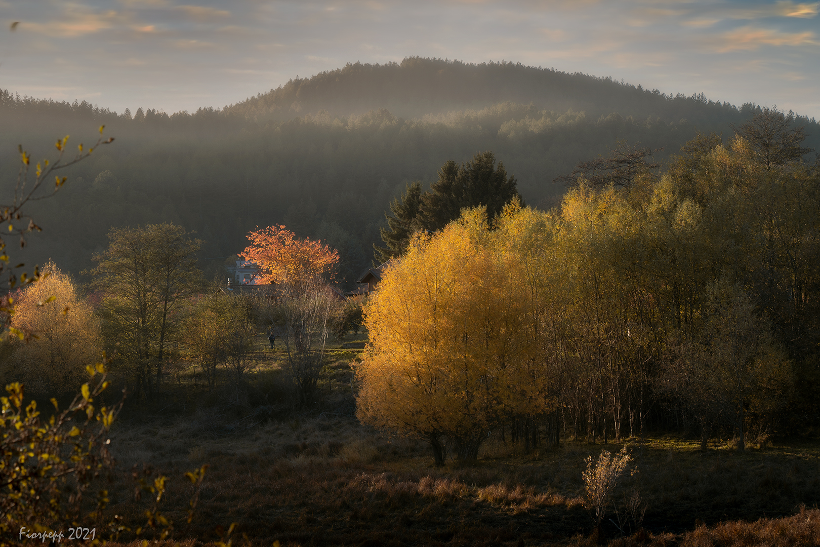 Lorica - Sila (CS) - Italy