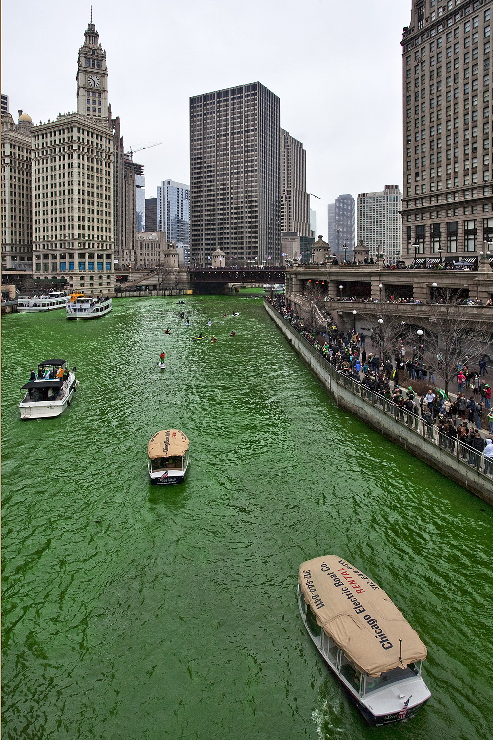 Miracle of St. Patrick