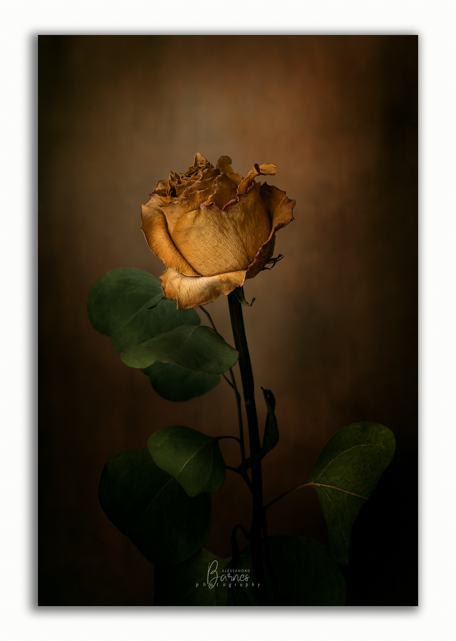 La vera bellezza non ha età…..