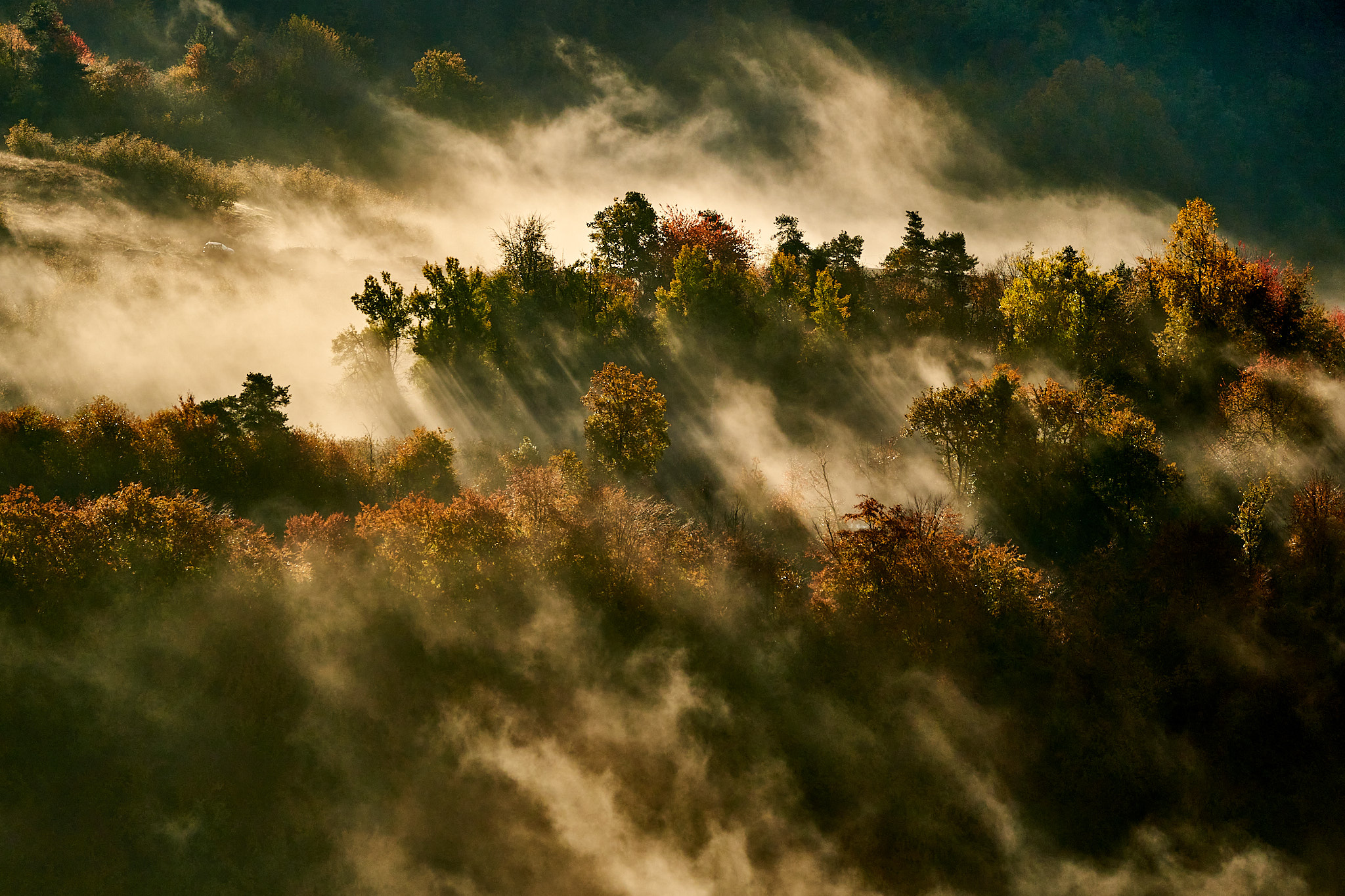 Low clouds