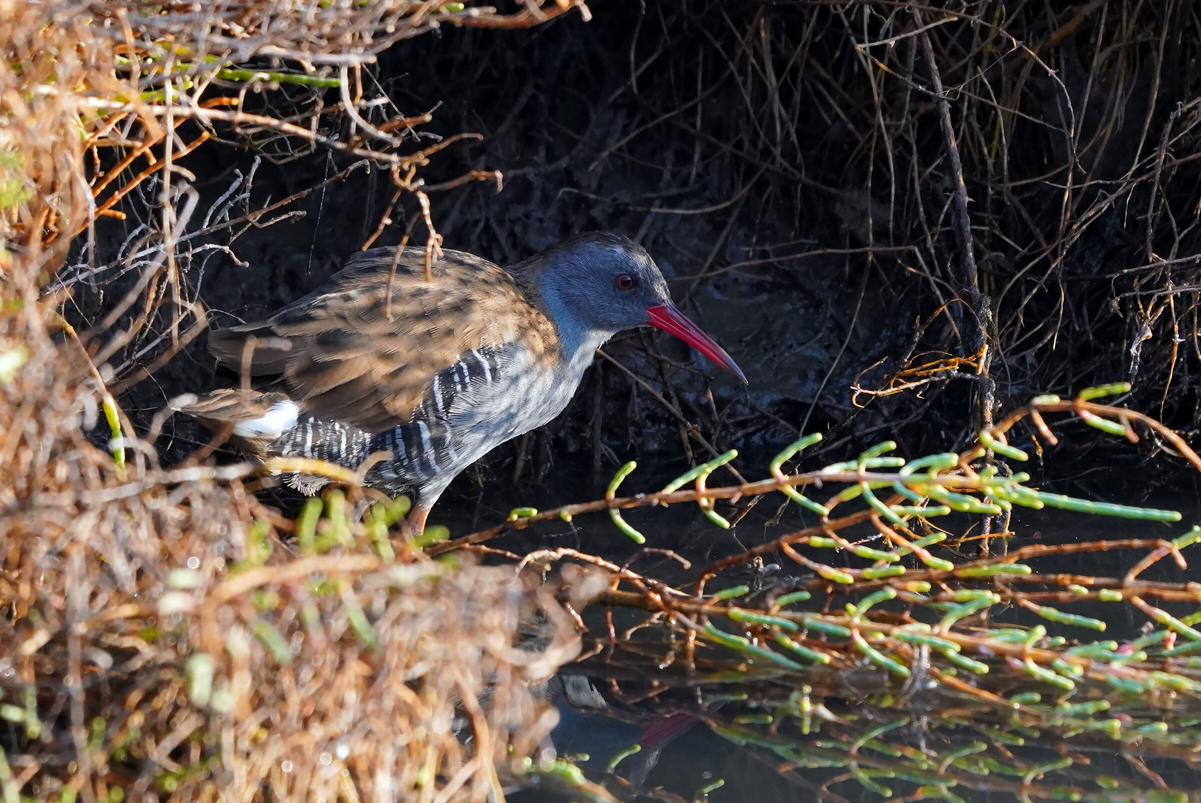 uscita di casa....
