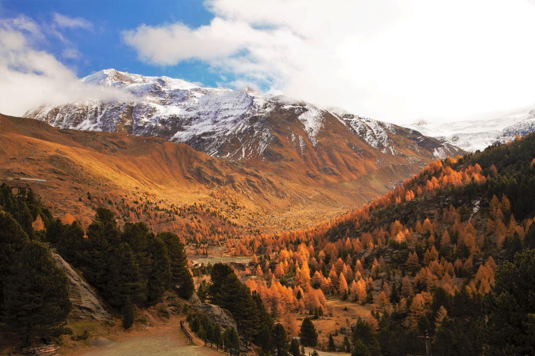 AUTUMN STELVIO