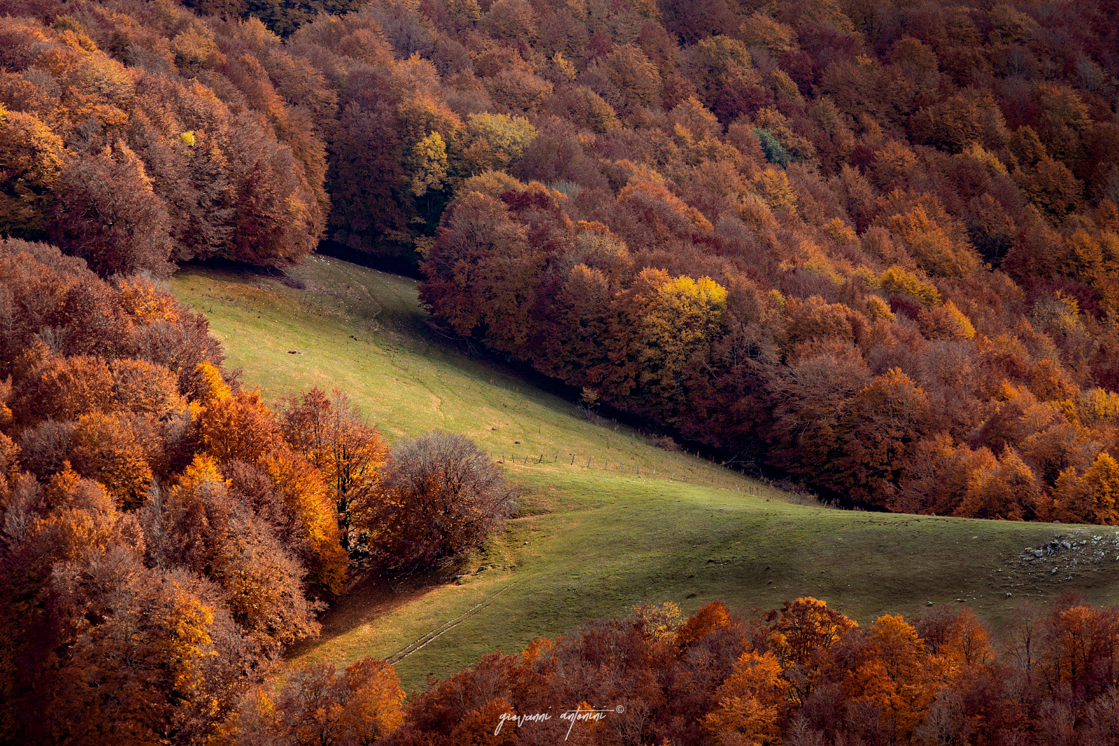 Colori a Monte Terminillo