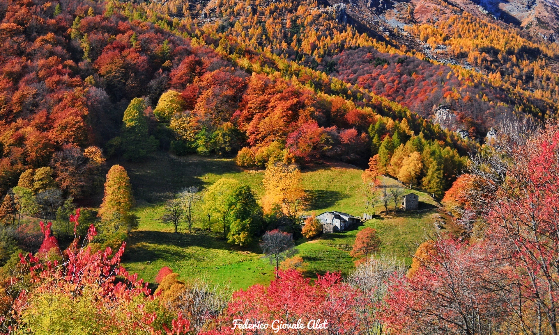 Foliage at dandalera village