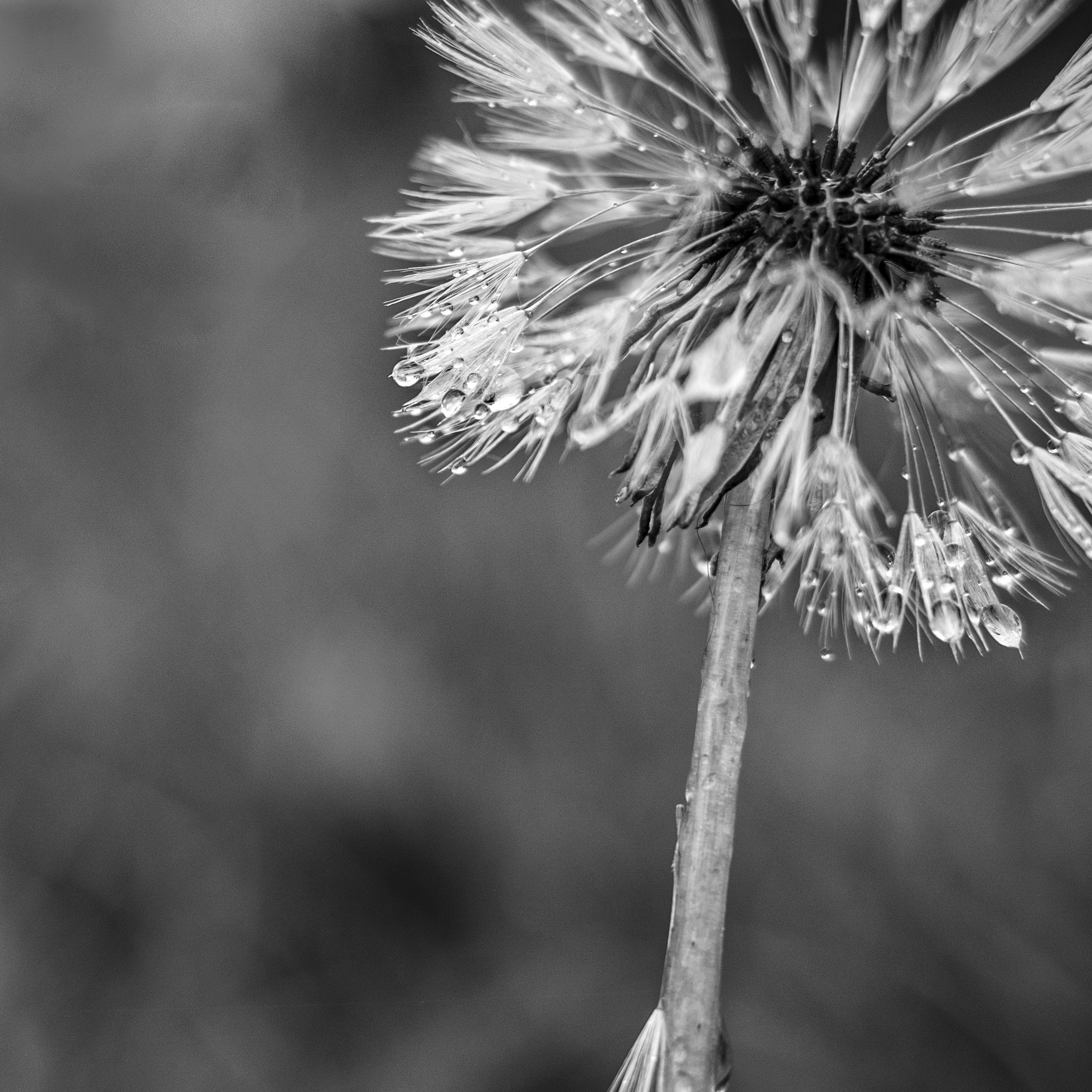 Untitled Photo