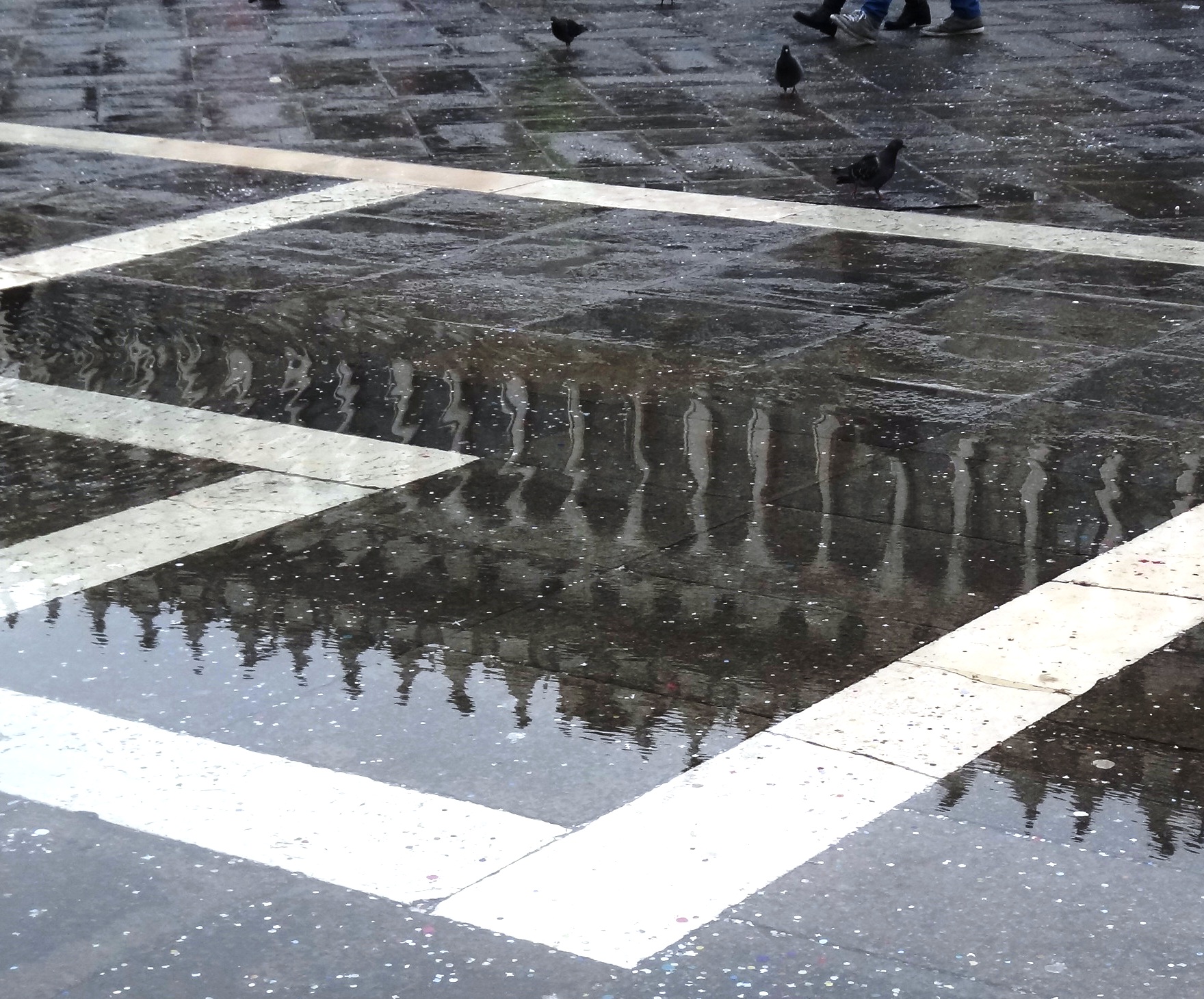 Riflessi in Piazza S.Marco