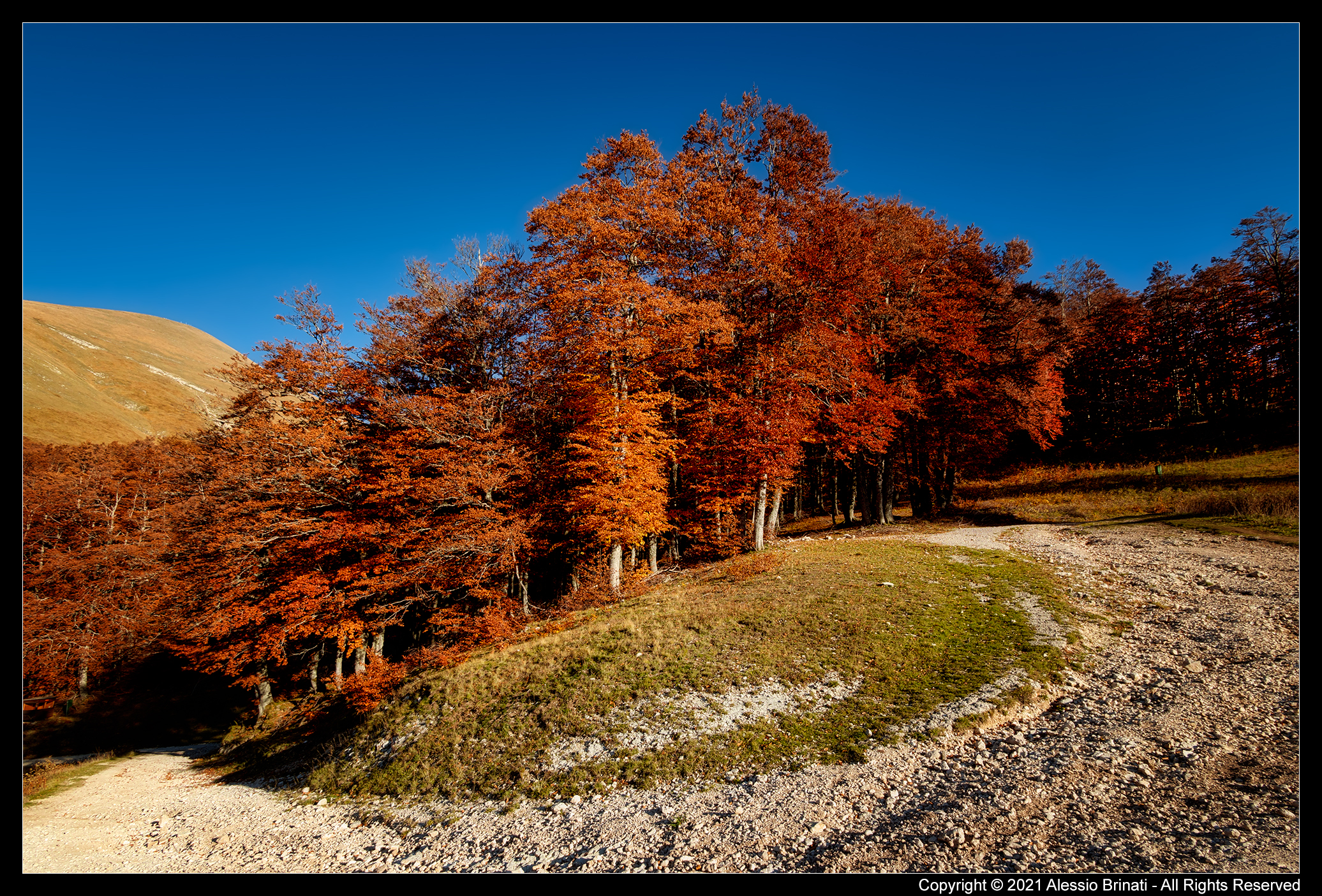 I Colori dell'autunno