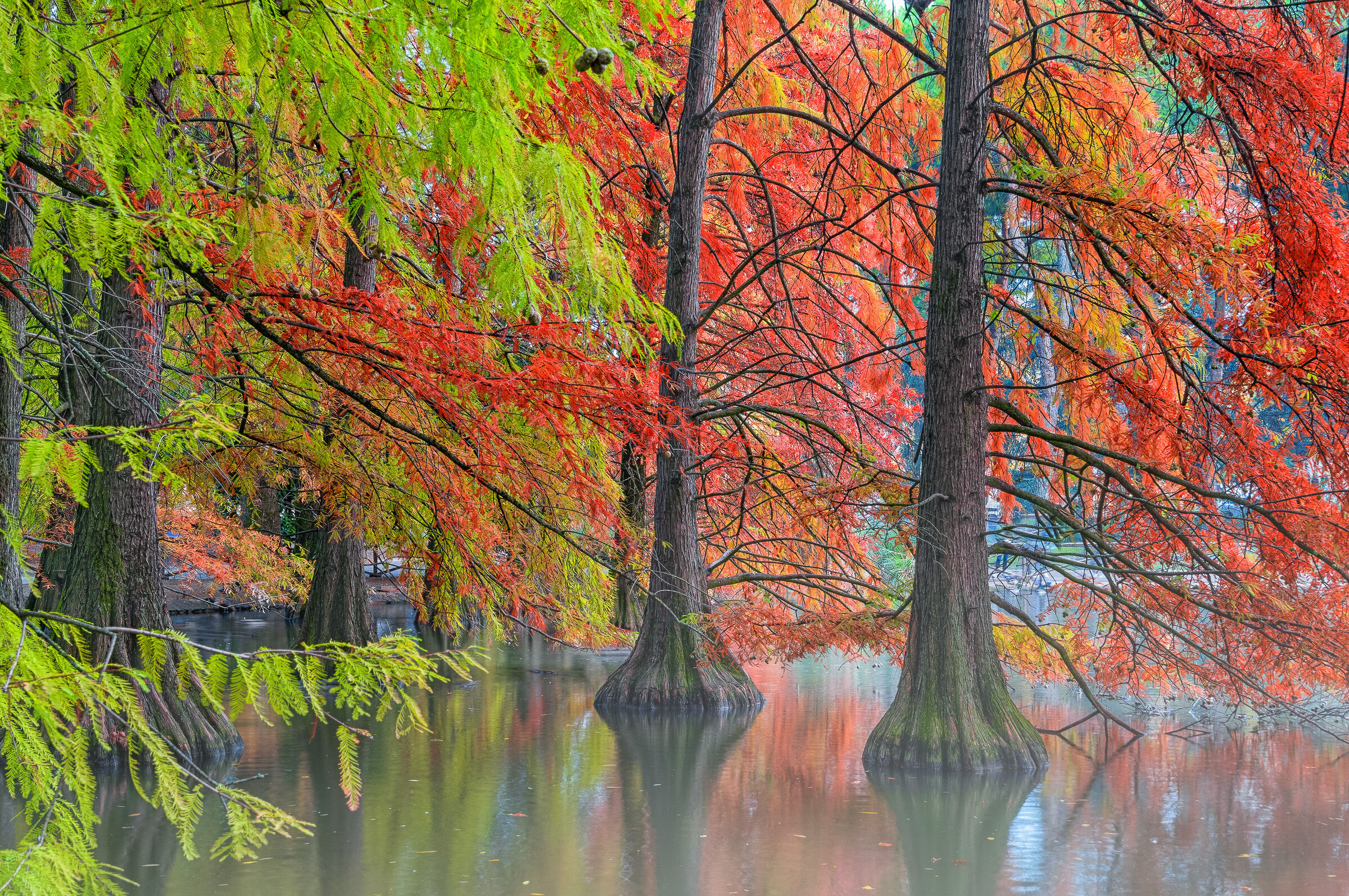 autumn
