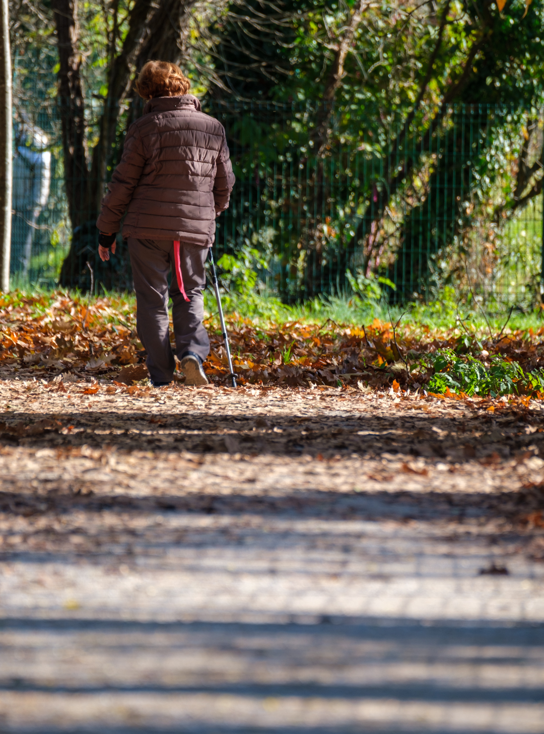 la signora con la coda