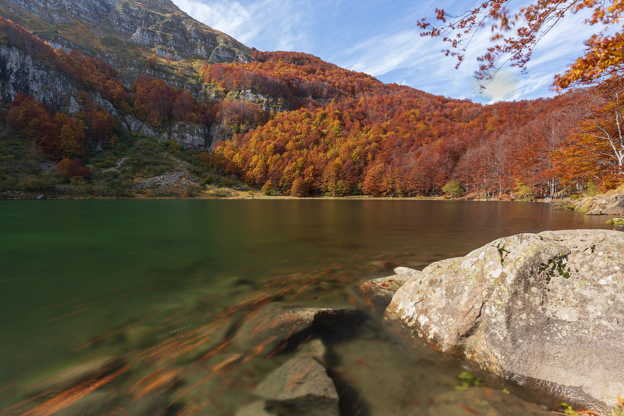 Autumn colors