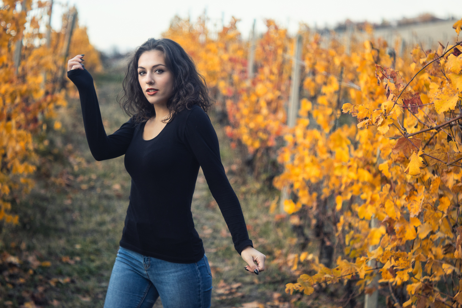 Non finiranno le stelle