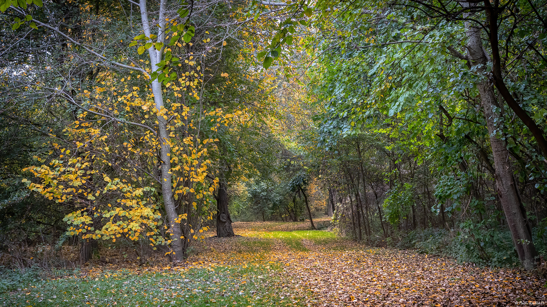 Boscone Island Nature Reserve