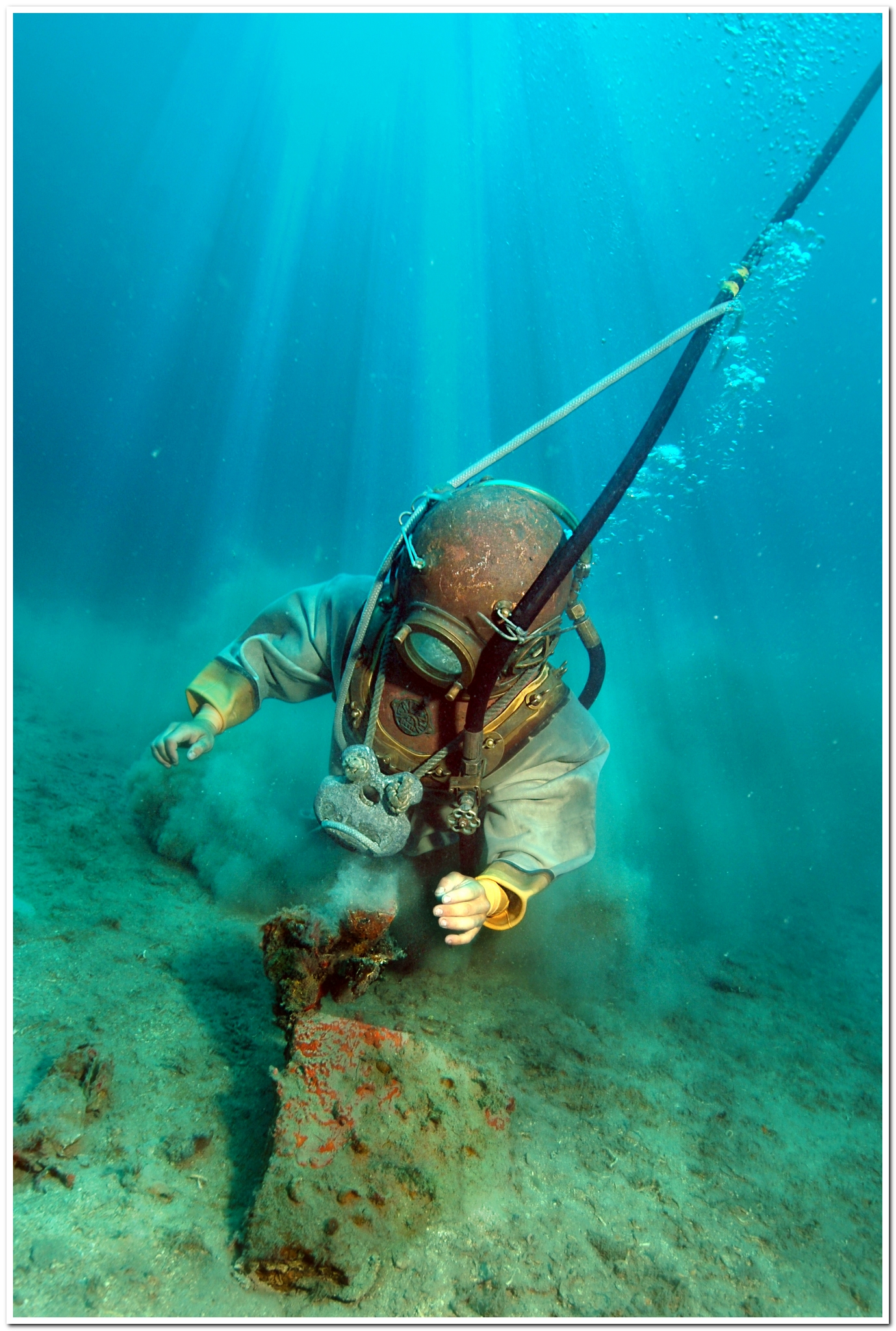 IL palombaro non è un combattente..............