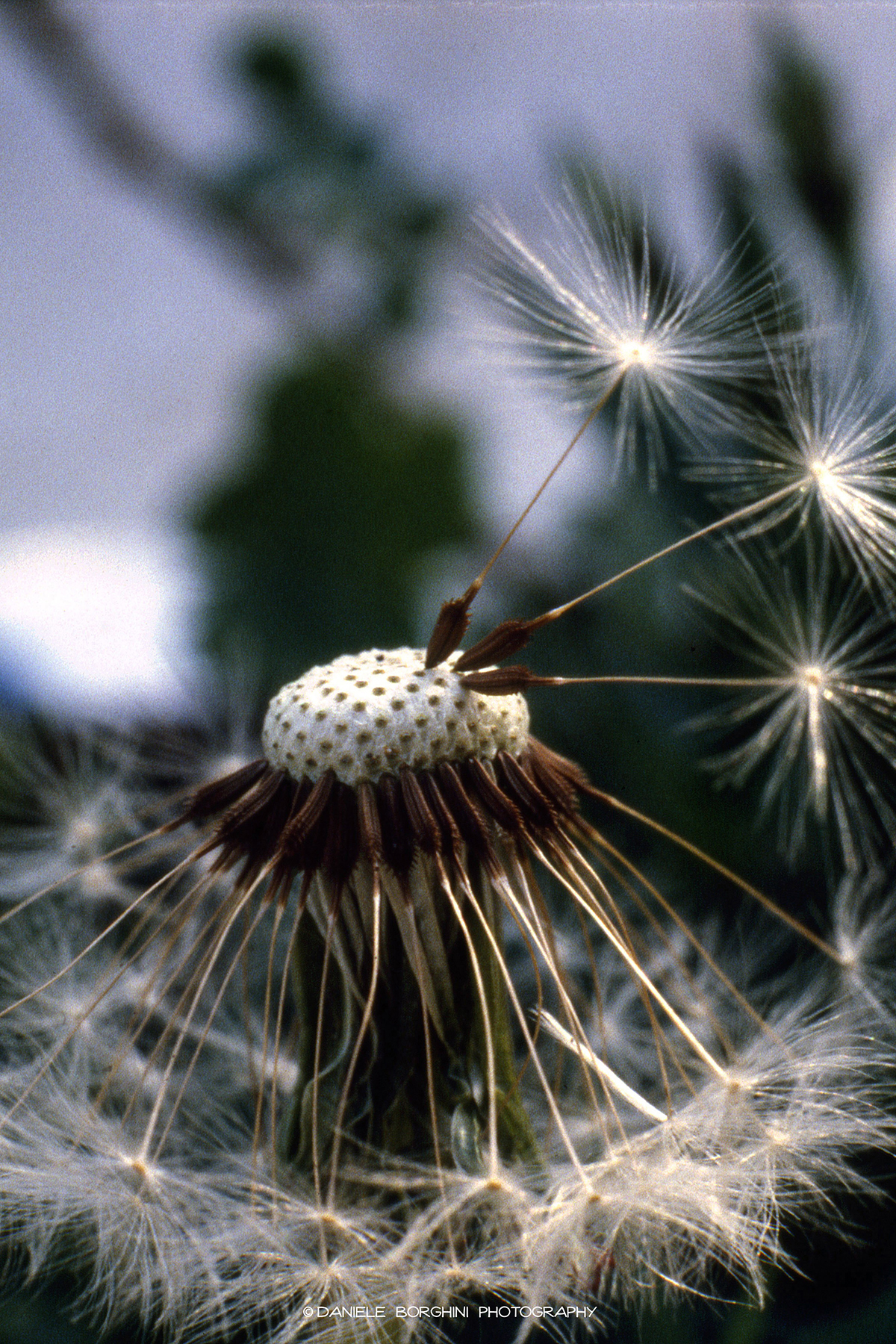 Resist, resist, resist