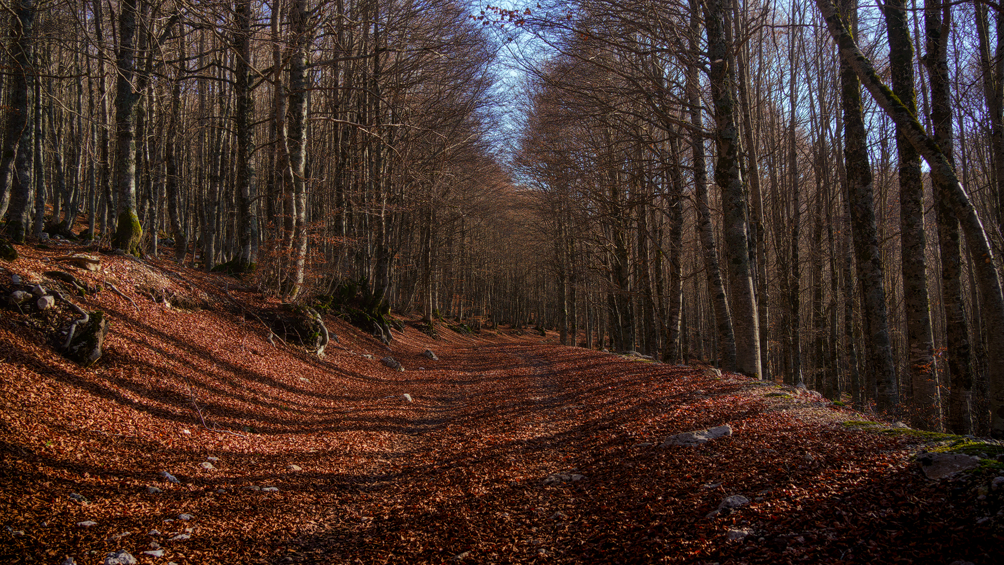 Le strade d'autunno