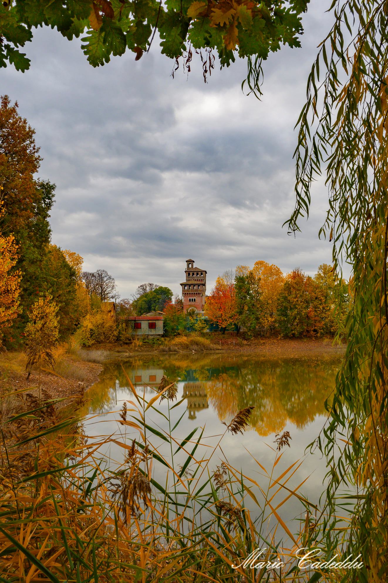 Autumn at Villa Oppi