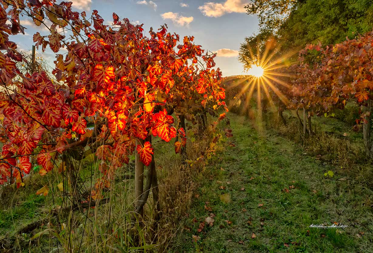Ultimi raggi di sole