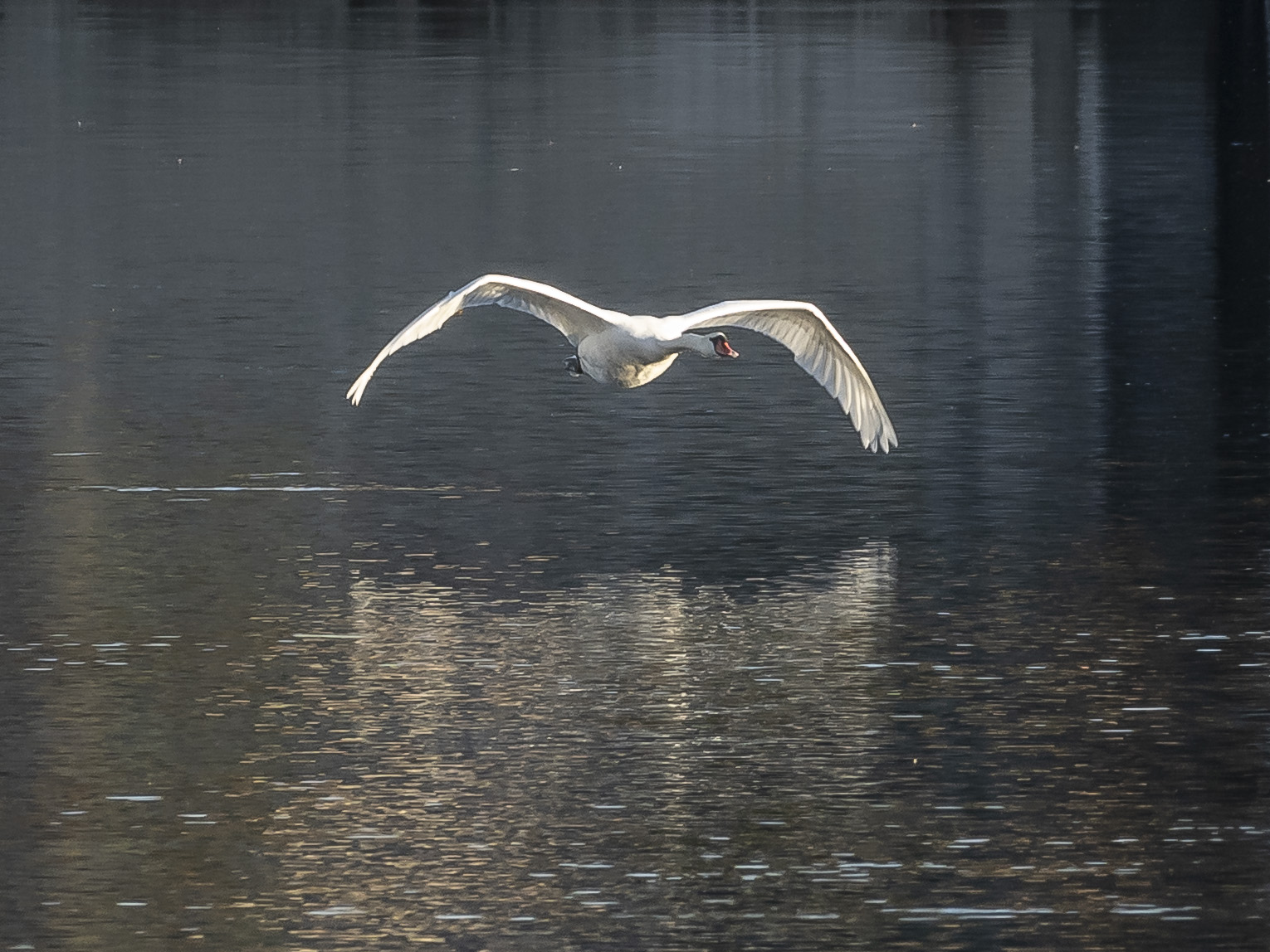 Sunday, November 7, 2021, 3:50:02 PM