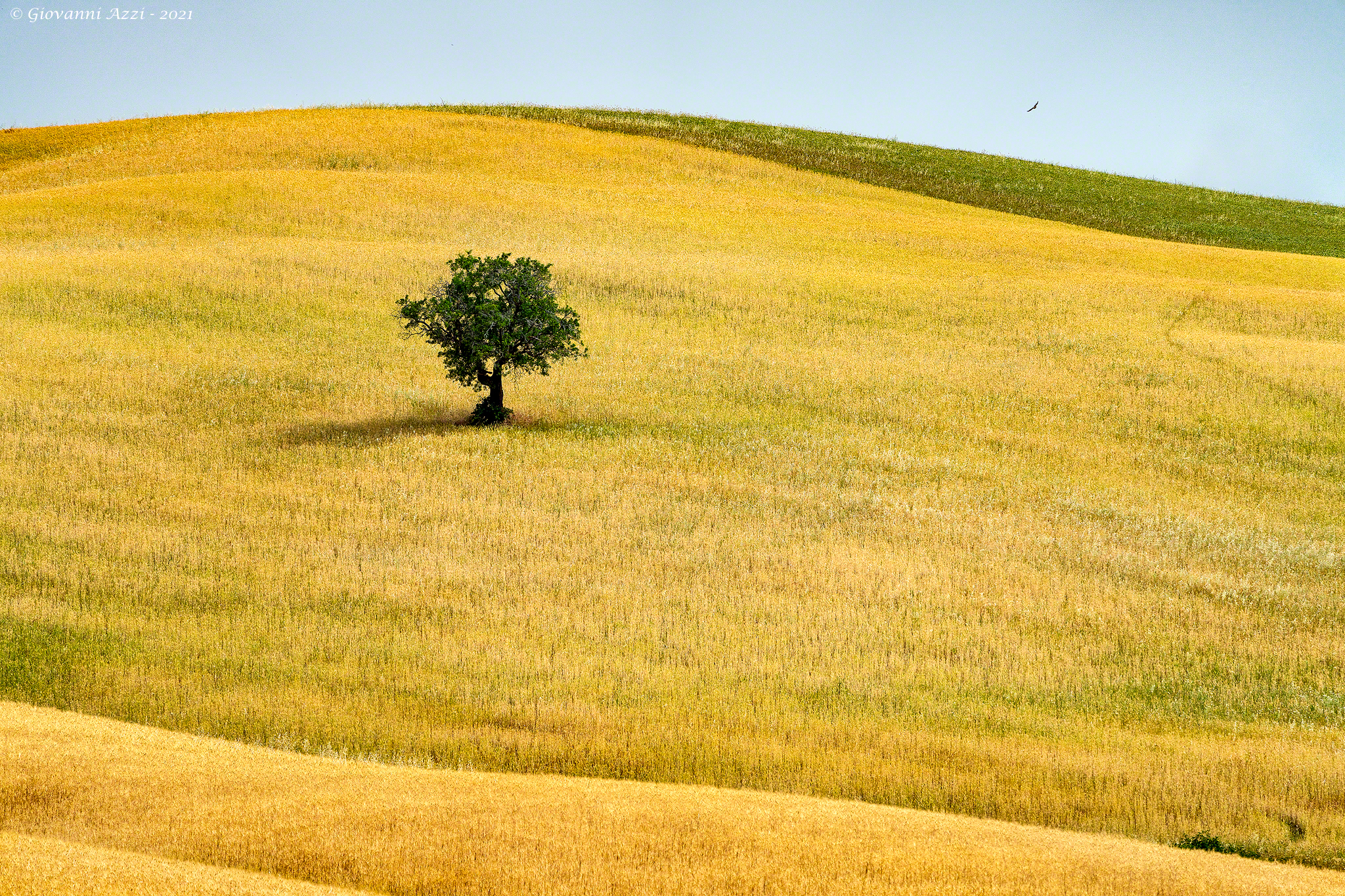 Minimal in Val d'Orcia