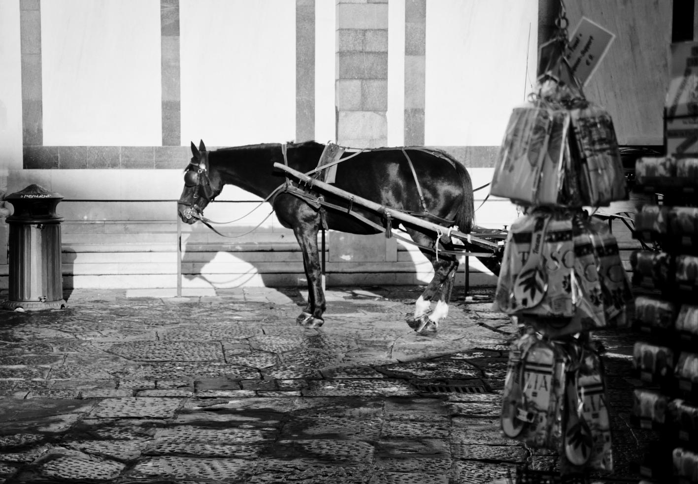 Florence for tourists